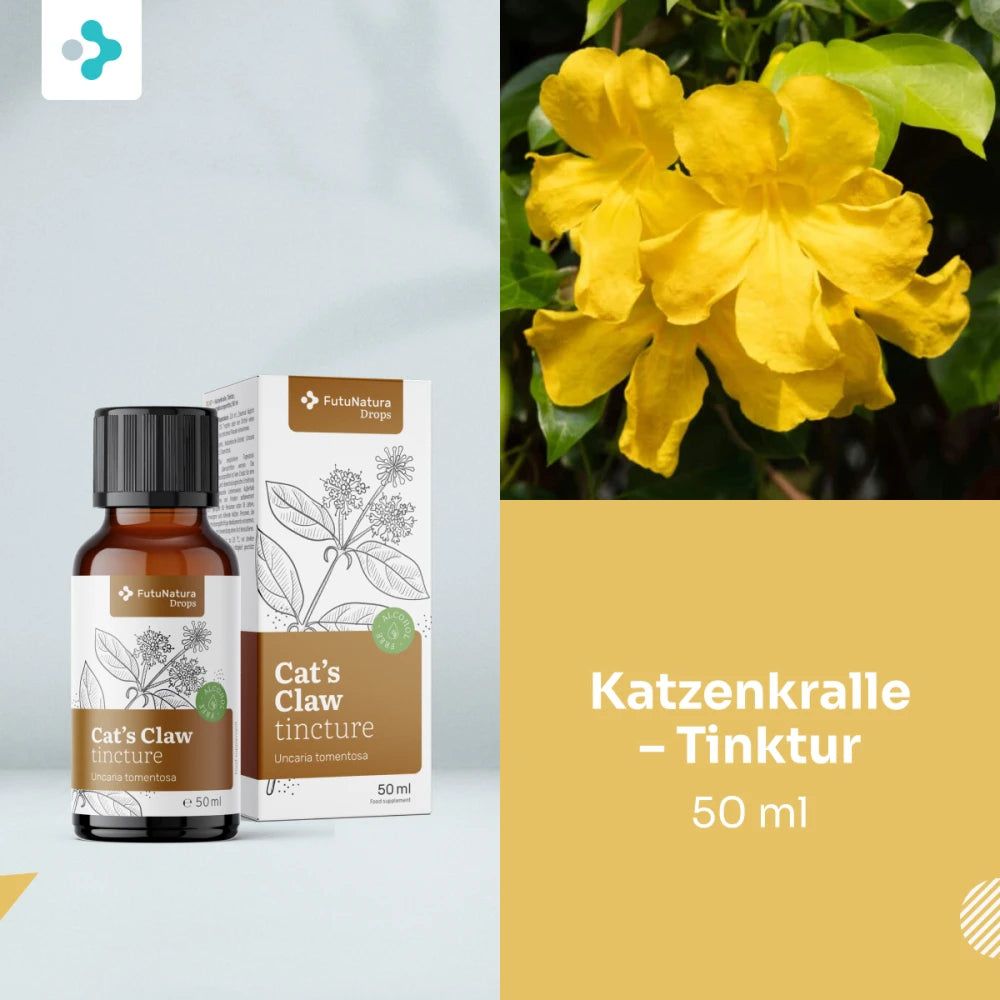 Flasche und Karton mit Katzenkralle Tinktur neben gelben Blüten.
