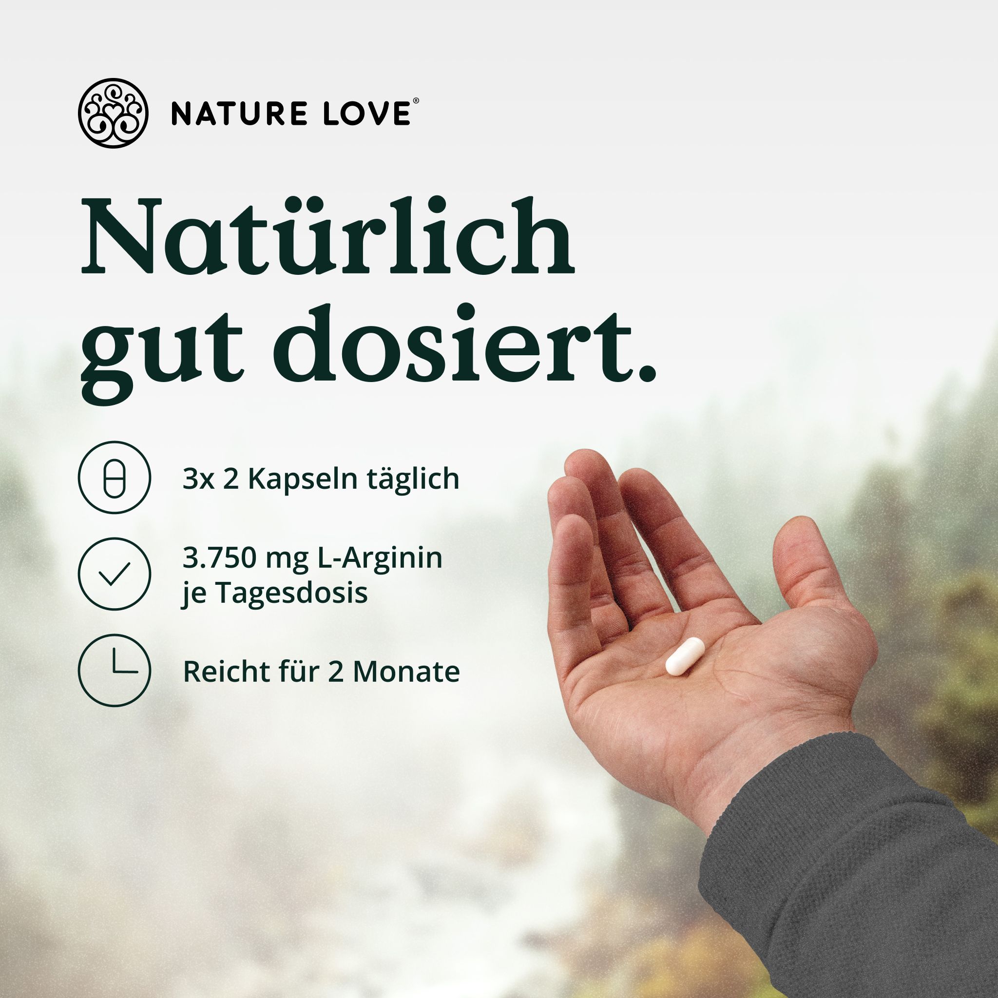 Hand hält eine NATURE LOVE L-Arginin Kapsel, Dosierung 3x2 Kapseln täglich.