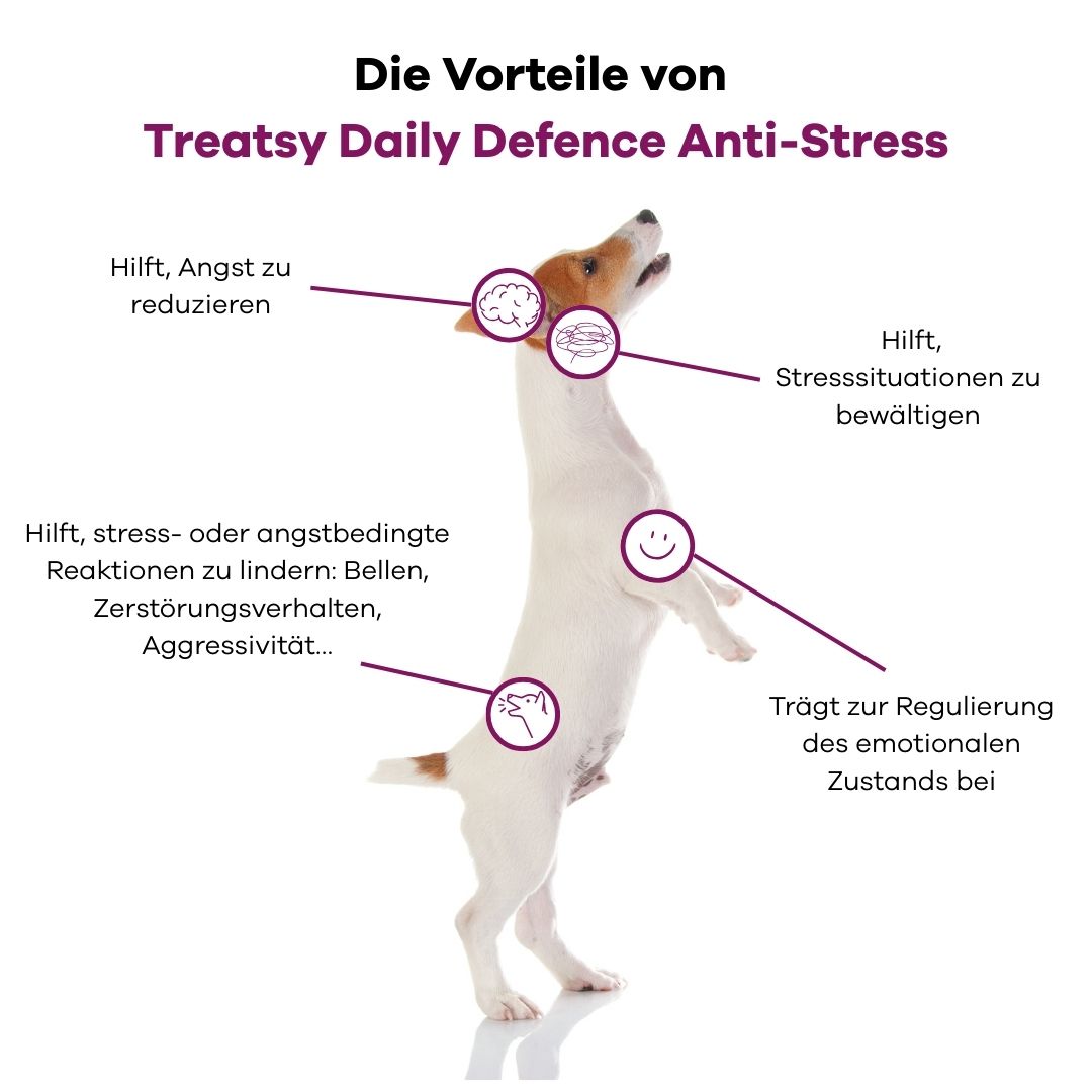 Grafik mit einem Hund, der auf den Hinterbeinen steht. Text beschreibt Vorteile von Anti-Stress-Ergänzungsfuttermittel.