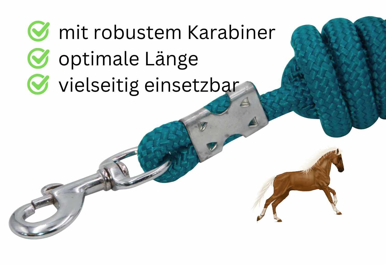 Türkisfarbener Führstrick mit Karabinerhaken. Text: mit robustem Karabiner, optimale Länge, vielseitig einsetzbar.