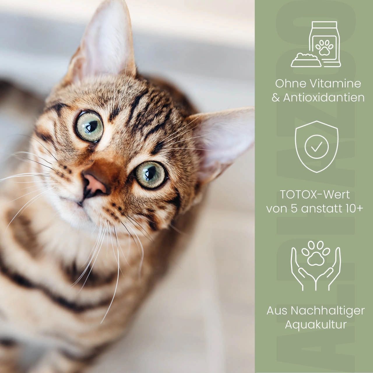 Katze mit grünen Augen. Text: Ohne Vitamine & Antioxidantien. TOTX-Wert von 5 anstatt 10+. Aus nachhaltiger Aquakultur.