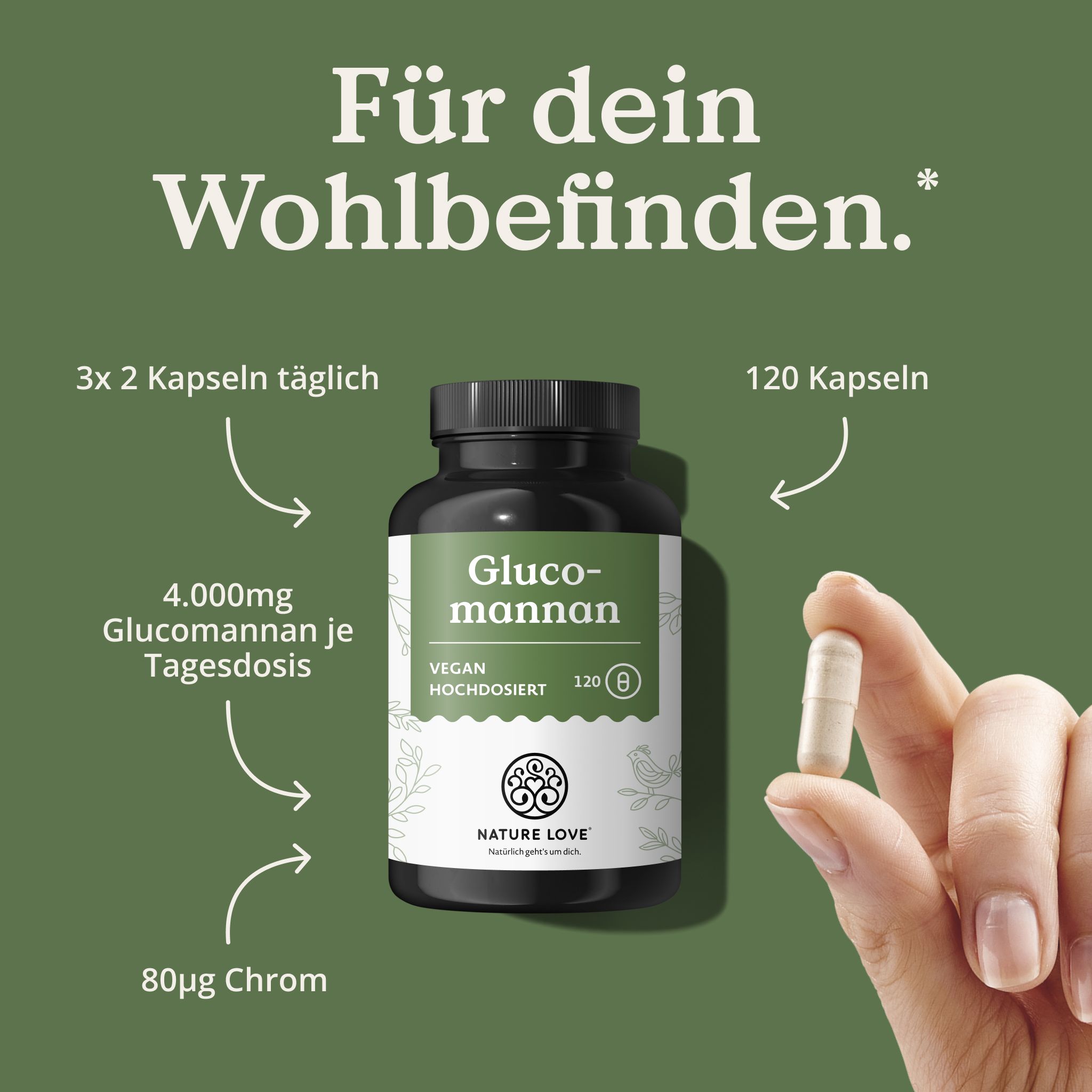 Flasche mit NATURE LOVE Glucomannan Kapseln, daneben eine Hand, die eine Kapsel hält.