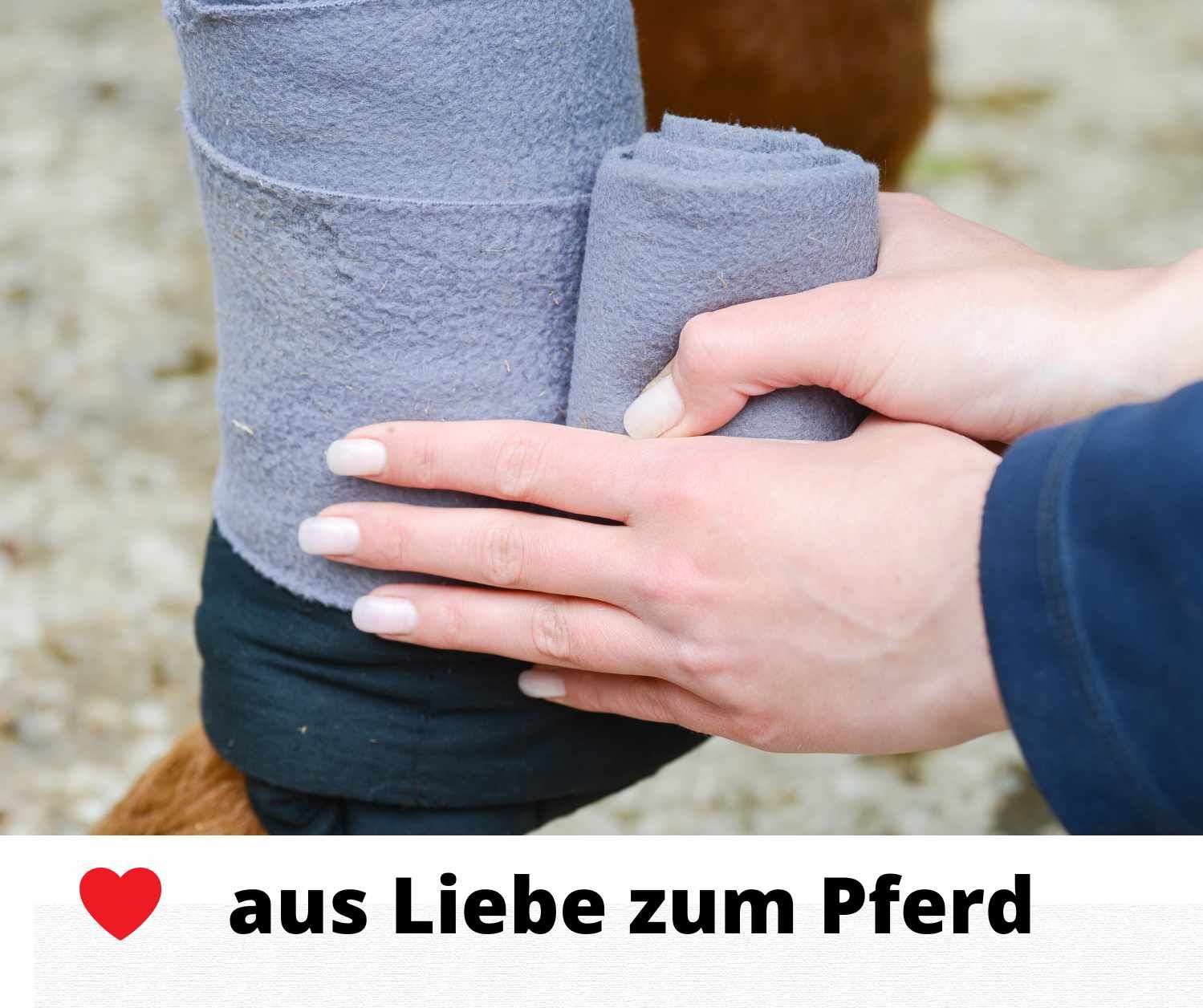 Person wickelt graue Fleecebandage um Pferdebein. Text: aus Liebe zum Pferd.
