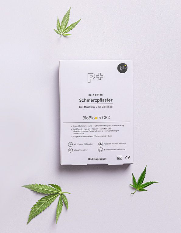Verpackung eines BioBloom CBD Schmerzpflasters mit Hanfblättern. Für Muskeln und Gelenke, enthält CBD, Arnika & Menthol.
