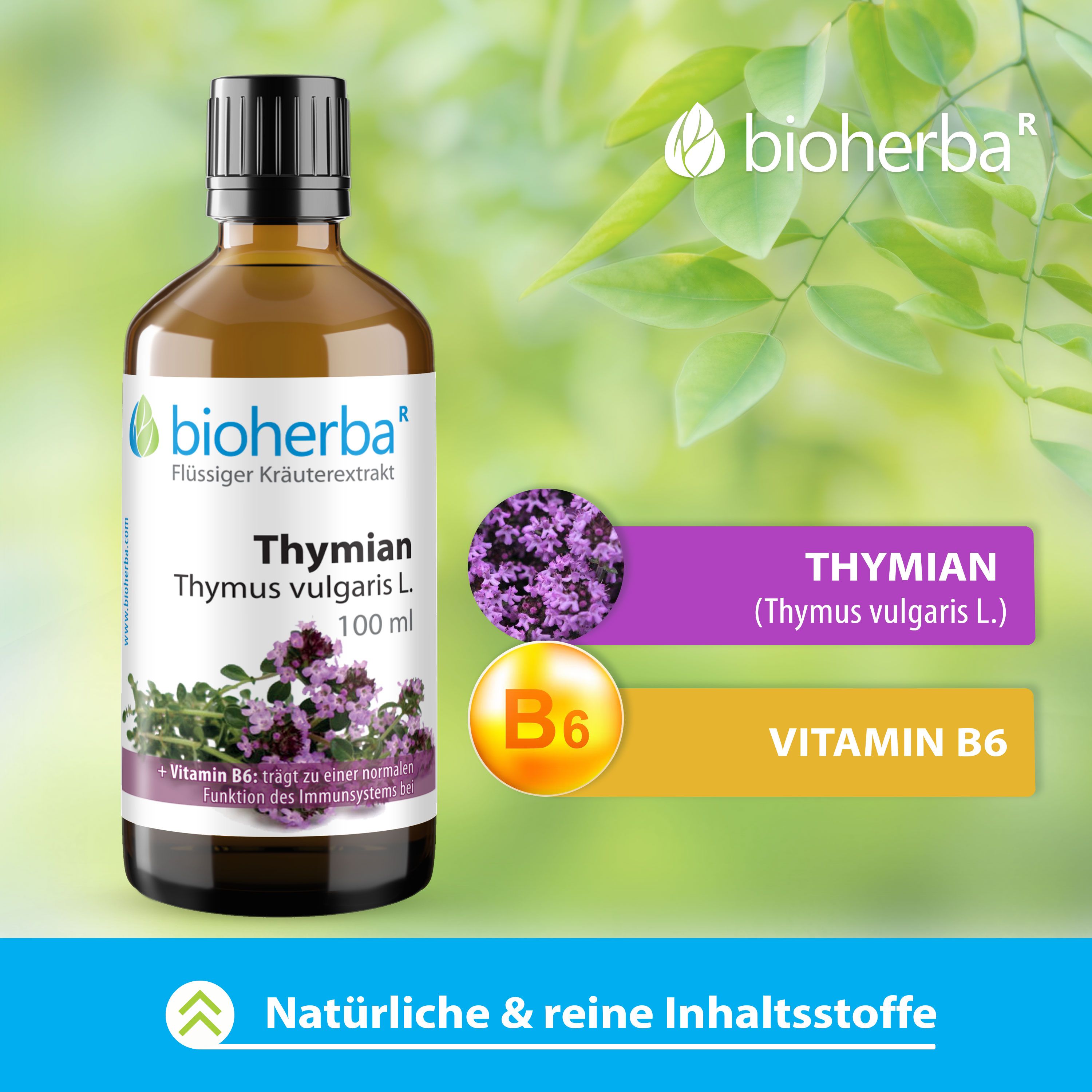 Bioherba Thymian Tinktur Flasche, violette Thymianblüten, B6-Vitamin-Grafik. Text: Natürliche & reine Inhaltsstoffe.