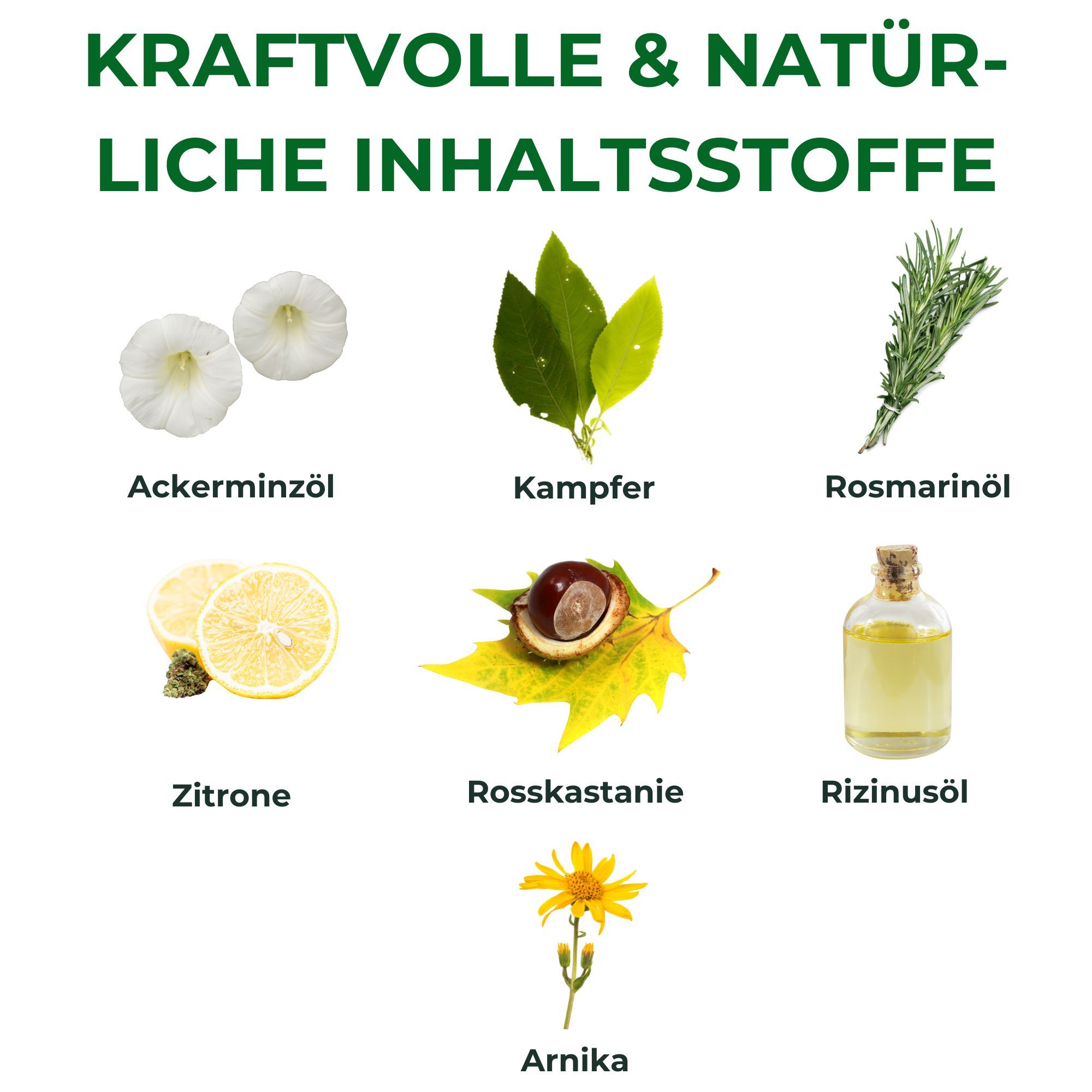 Kräuterhof Pferdebalsam kühlend