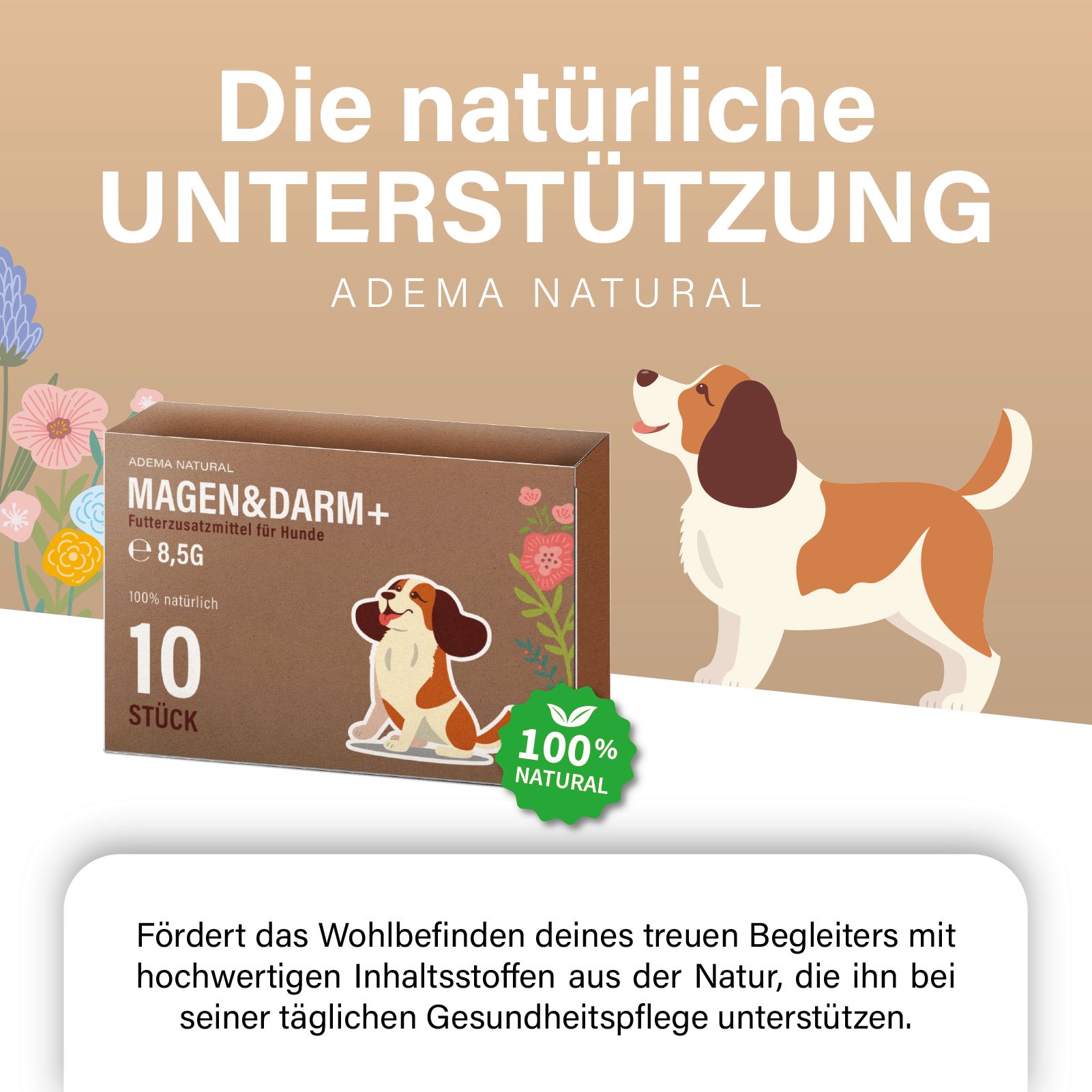 Werbebild mit Schachtel 'Magen&Darm+' und Hund. Text: 'Die natürliche Unterstützung'. '100% natürlich' Siegel. Text über Inhaltsstoffe.