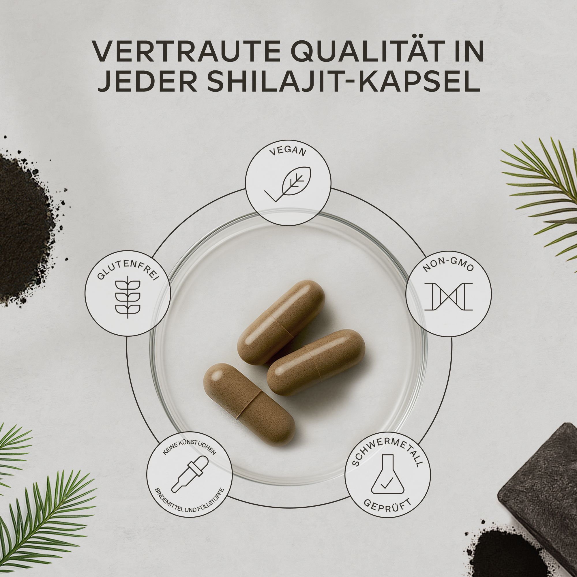 Drei Kapseln auf einer Unterlage. Symbole für glutenfrei, vegan, ohne Gentechnik, ohne Zusatzstoffe, geprüft.
