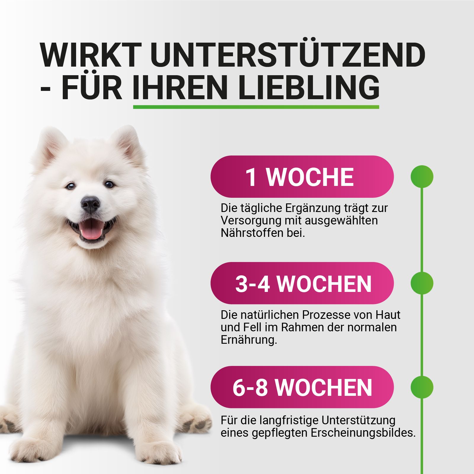 Haut & Fell Soft Snack für Hunde, getreidefrei, mit DHA & Biotin.
