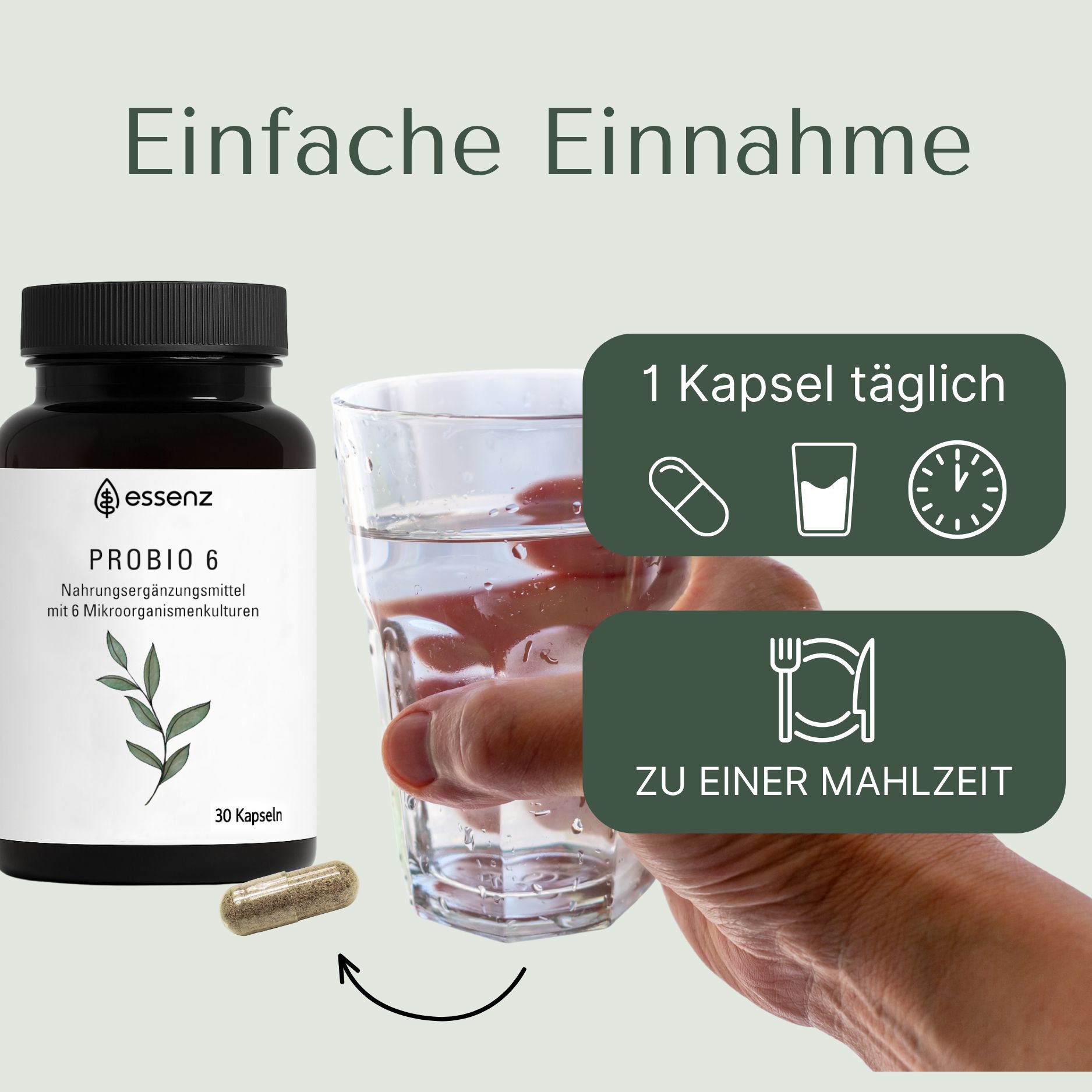 ESSENZ Probio 6 – 6 Bakterienstämme mit 10 Milliarden KBE & Inulin – Probiotische Kulturen