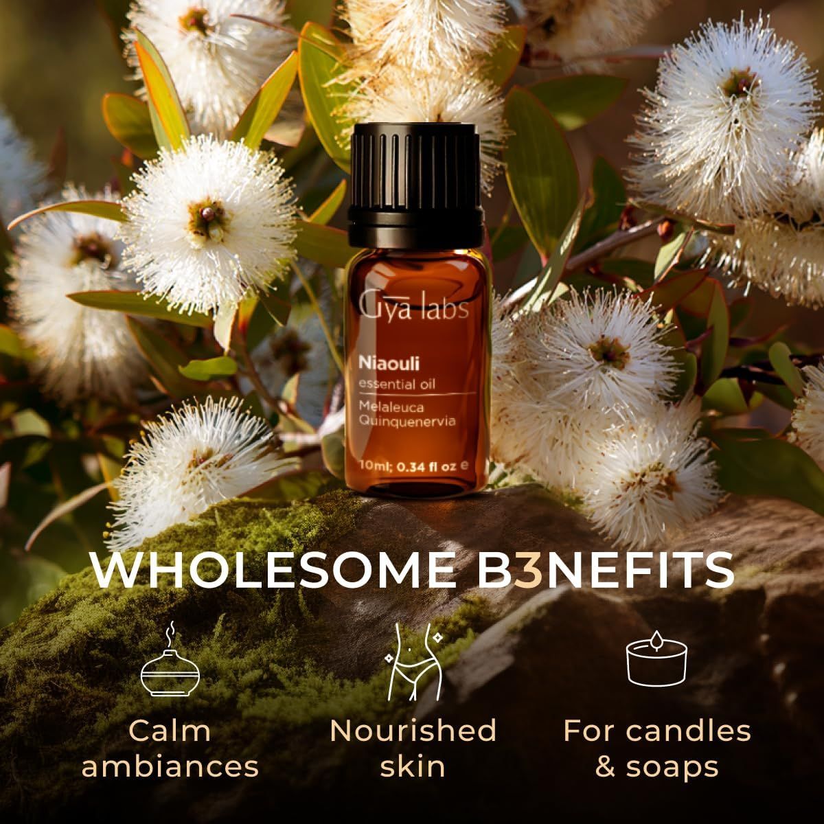 Braune Glasflasche mit schwarzem Deckel. Text: Gya Labs Niaouli essential oil, Melaleuca Quinquenervia. Wholesome benefits.