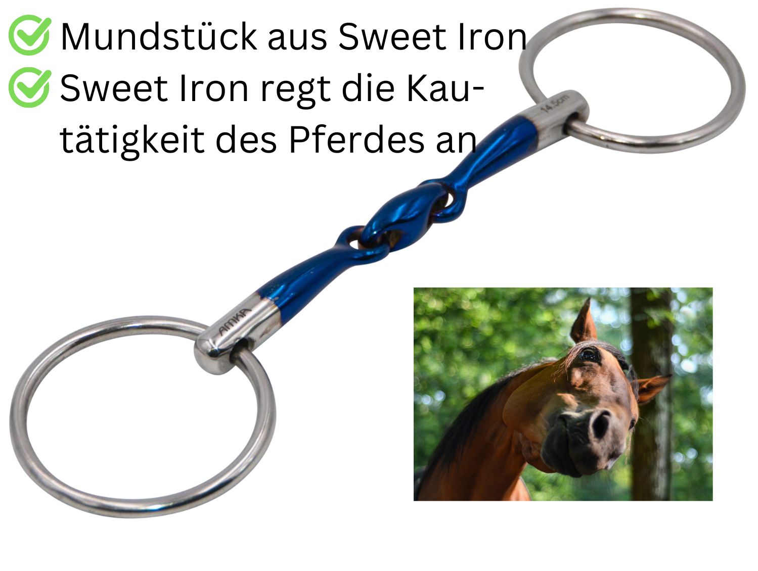 AMKA Wassertrense mit Sweet Iron Mundstück. Blaue Seitenteile und Verbindungsstück. Metallringe. Bild eines Pferdes im Hintergrund.