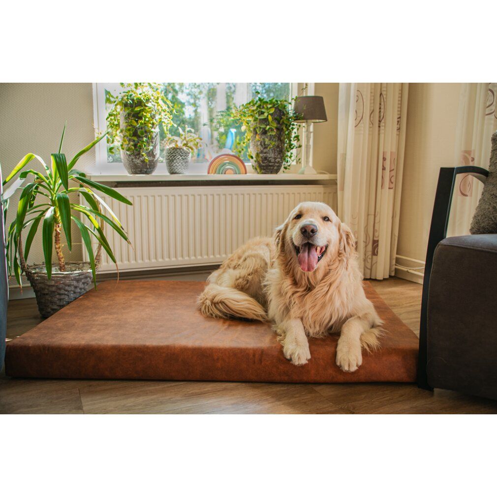 Let's Sleep Mellow Mattress Orthopädisches Bett xl Cognac