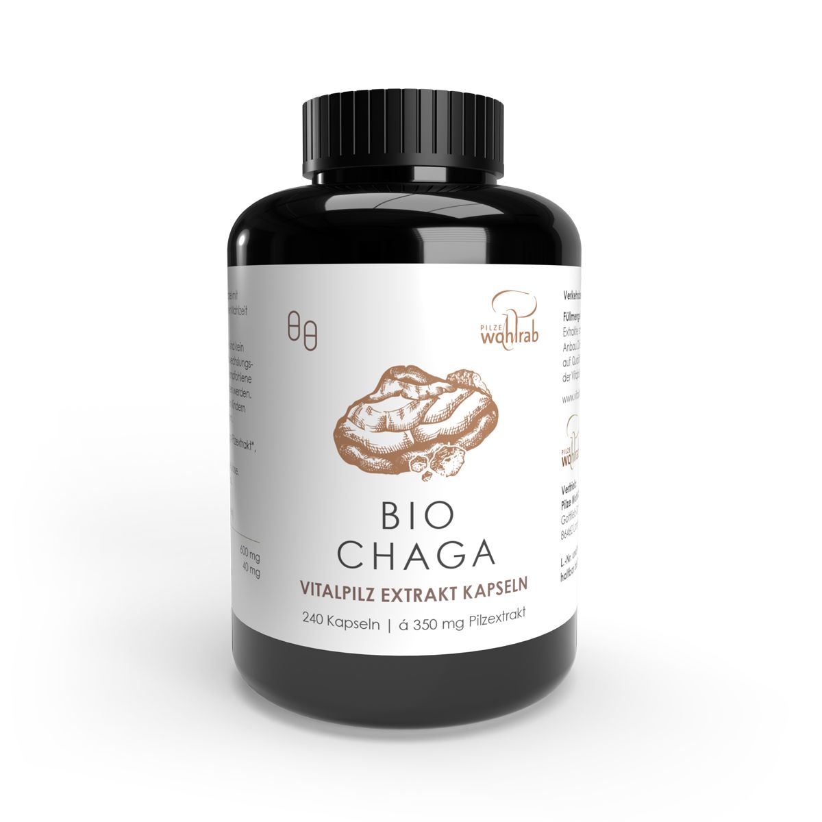 Schwarze Dose mit BIO CHAGA Vitalpilz Extrakt Kapseln, daneben Chaga Pilzstücke.