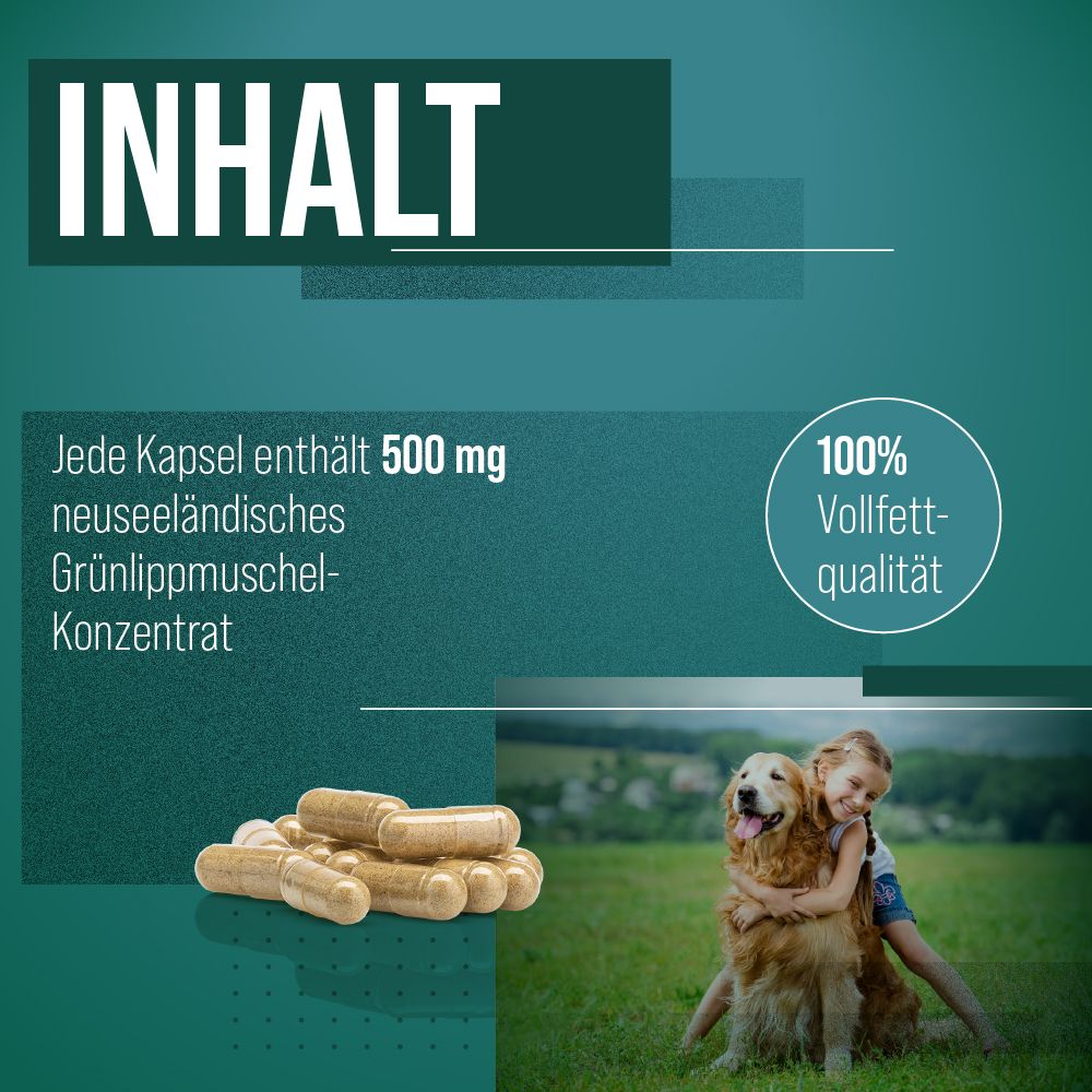 Kapseln. Text: Jede Kapsel enthält 500 mg neuseeländisches Grünlippmuschel-Konzentrat. Text: 100% Vollfettqualität. Hund und Kind.
