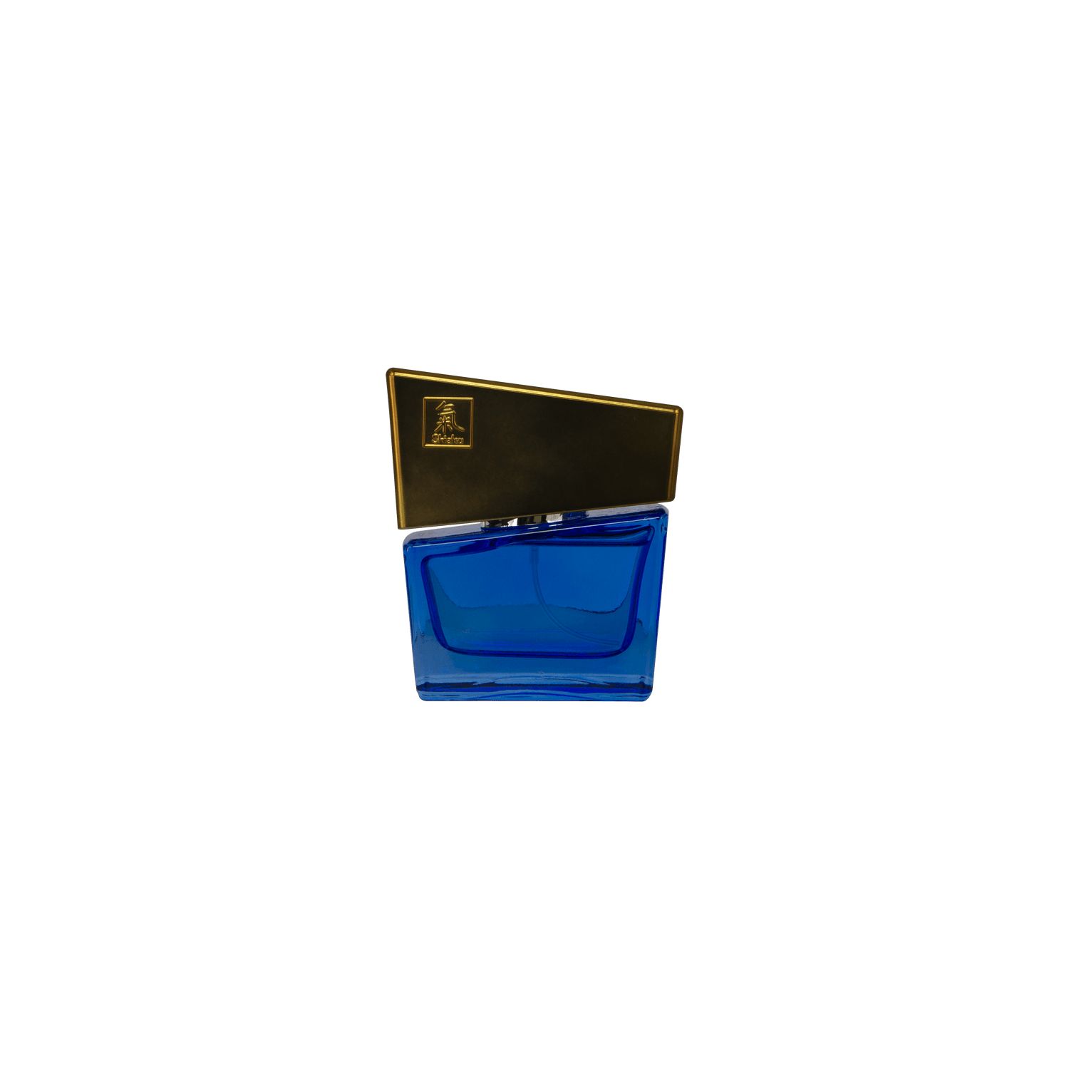 Pheromon Fragrance man darkblue