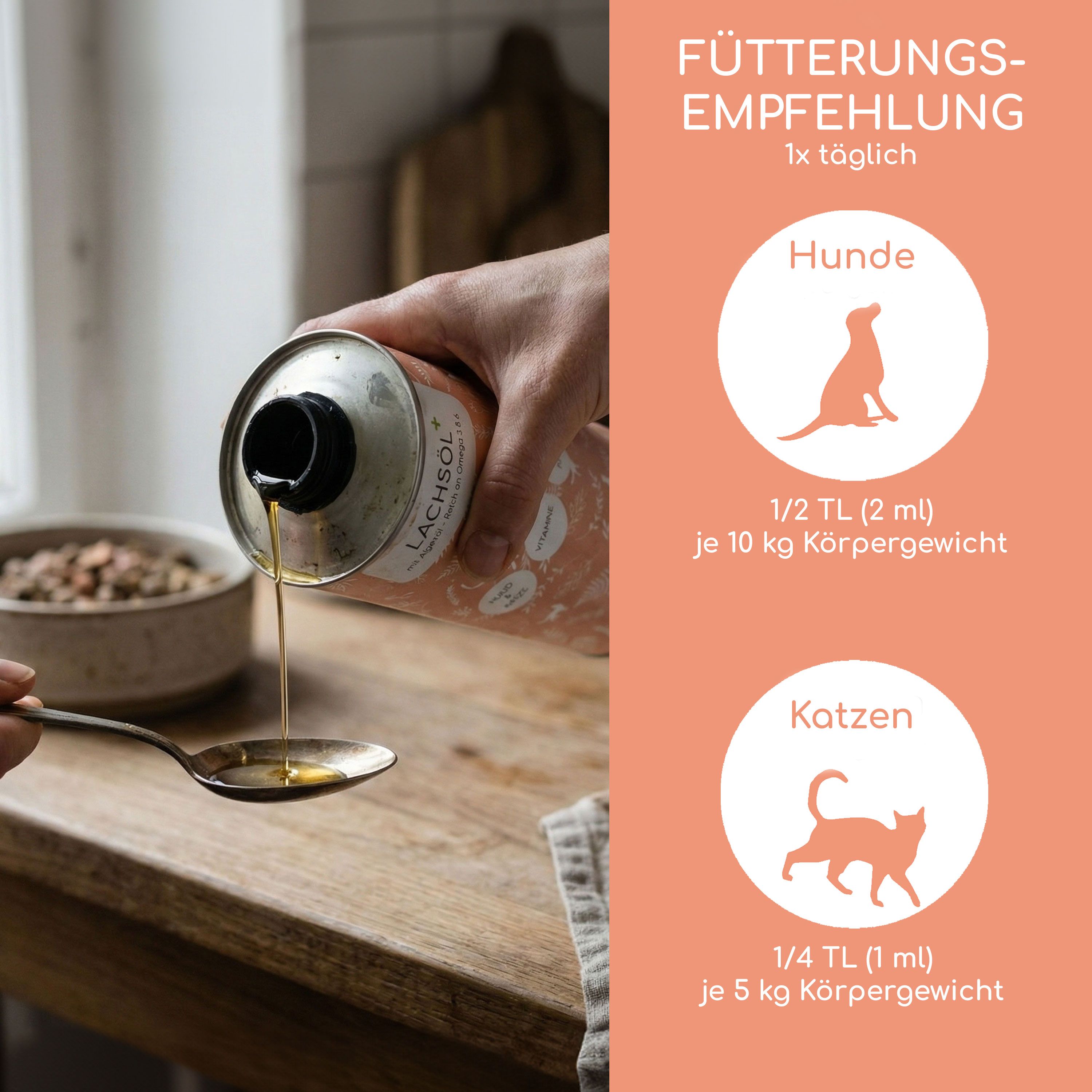 Lachsöl wird auf einen Löffel gegossen. Fütterungsempfehlung für Hunde und Katzen wird angezeigt.