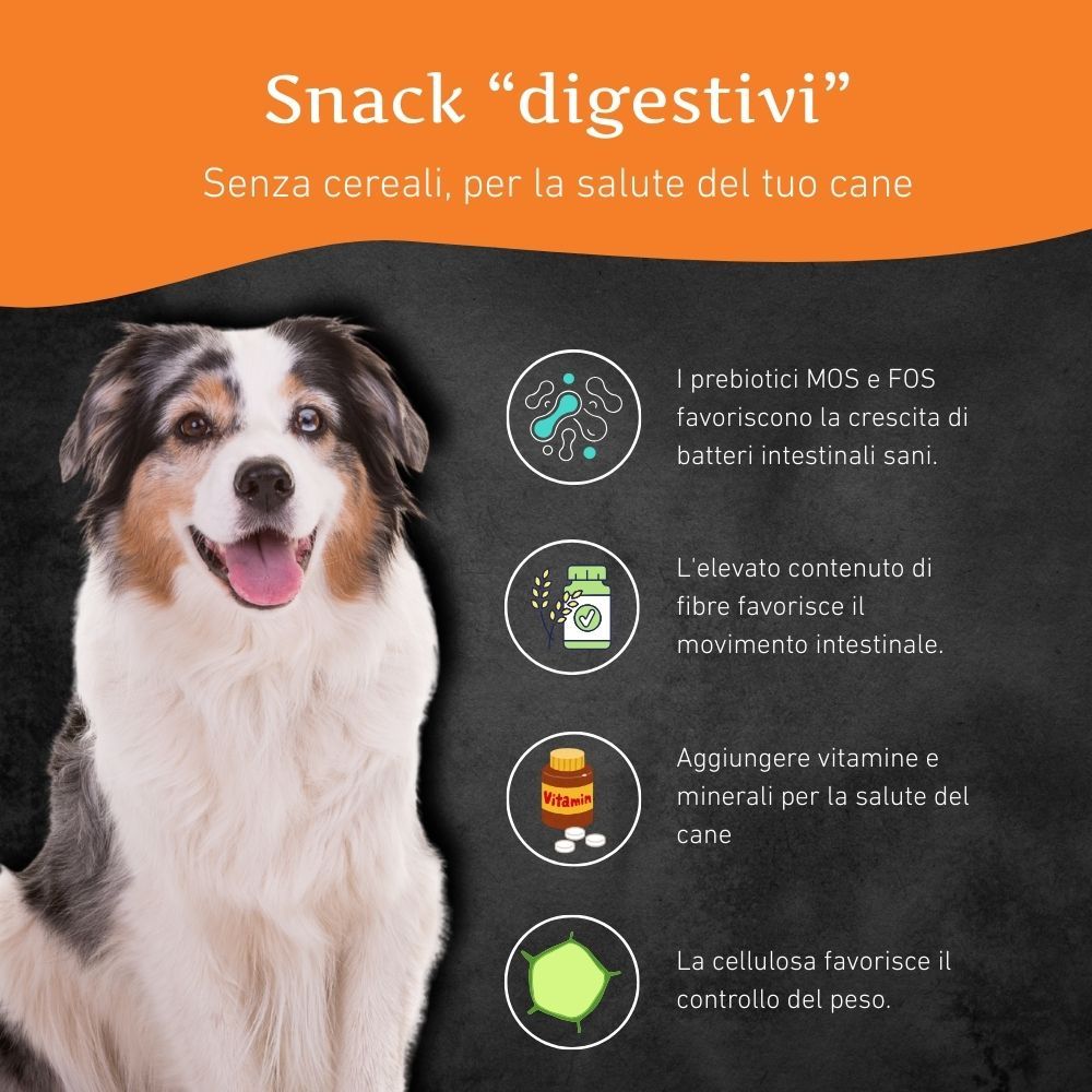 Ein Hund mit vier Icons, die die Vorteile von getreidefreien Snacks für die Verdauung hervorheben.