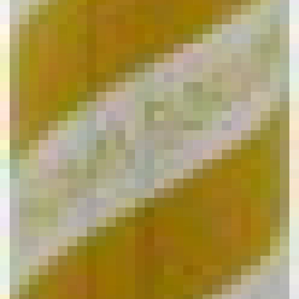 Detailansicht des Flakons mit gelben und weißen Streifen.