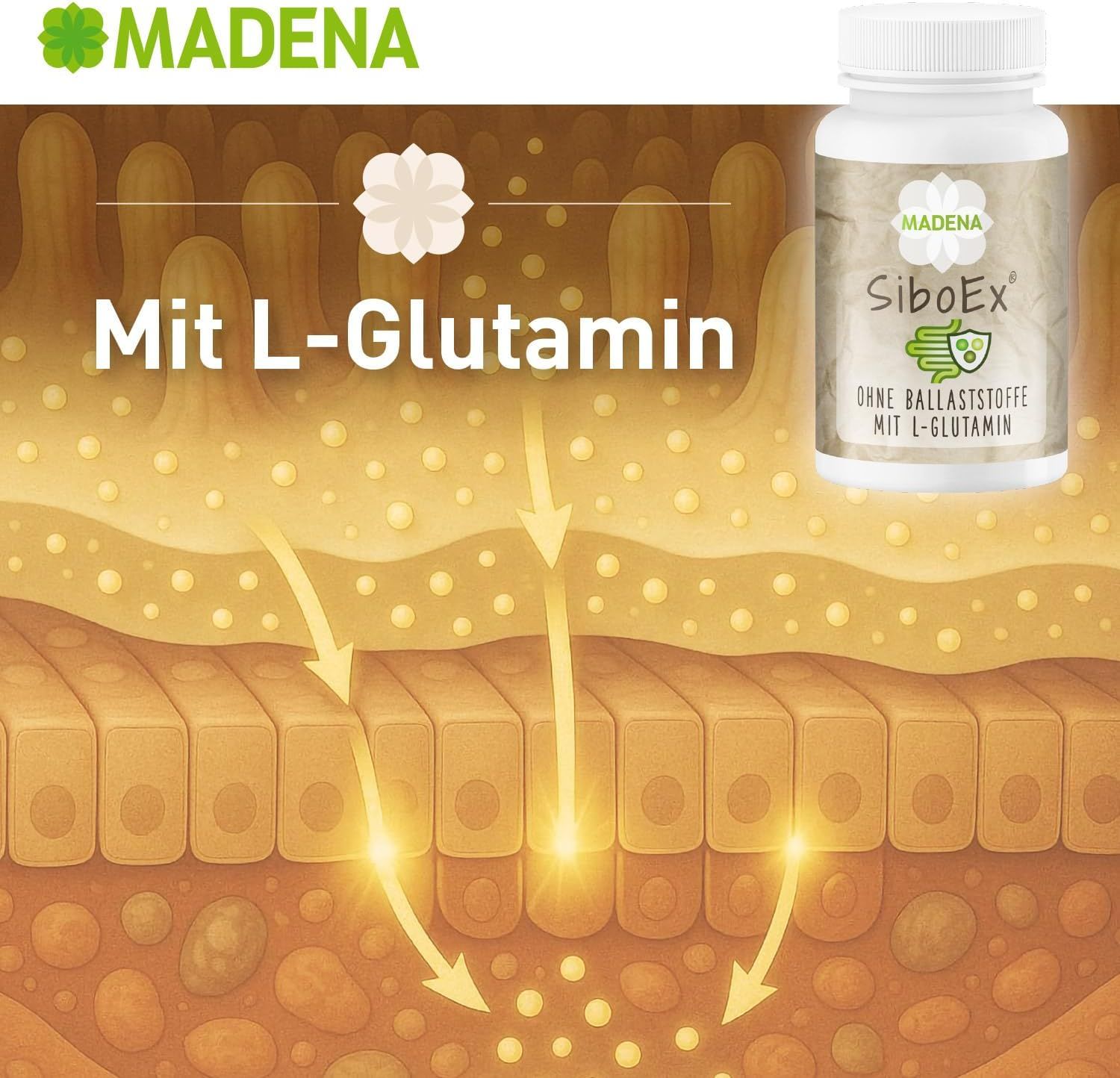 MADENA SiboEx Darmbakterien Kapseln