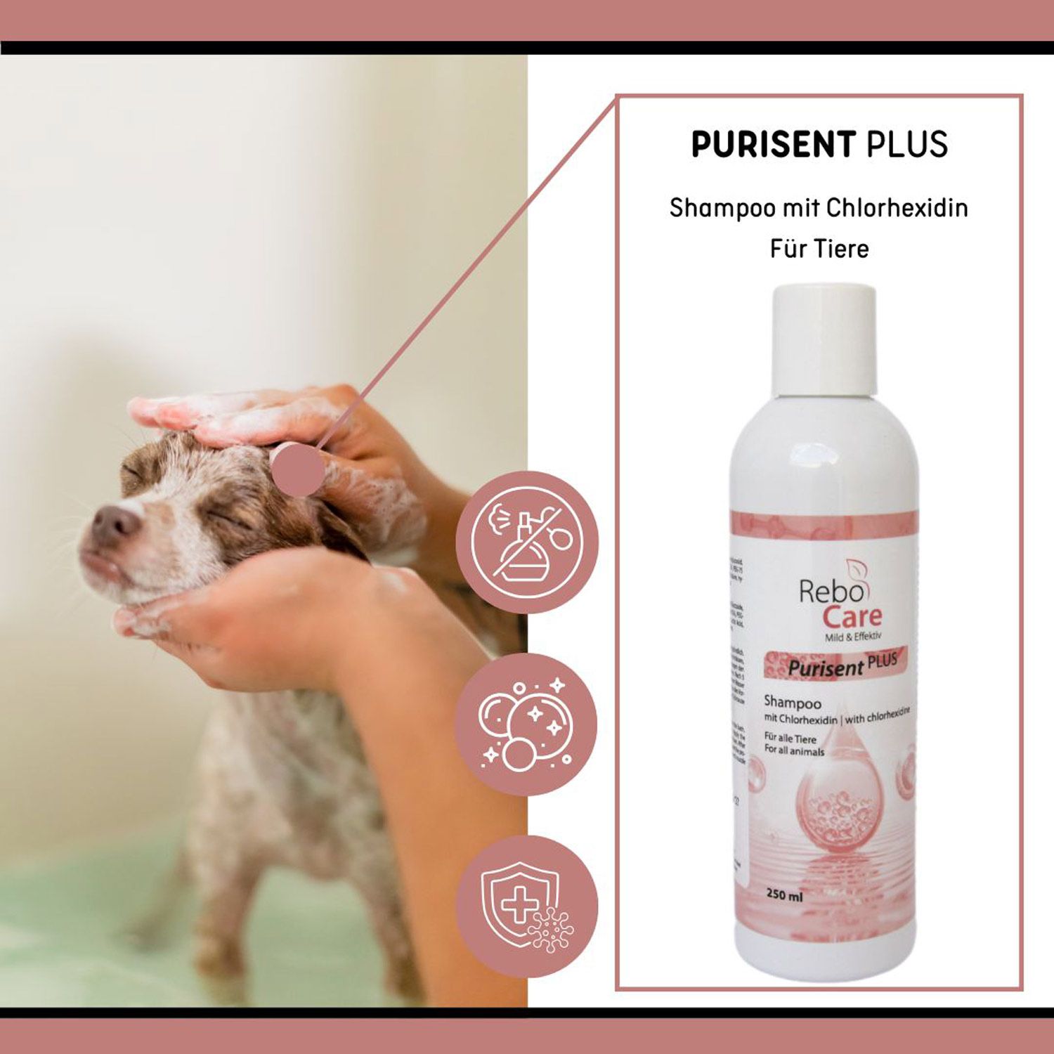 Purisent Plus Chlorhexidin Shampoo 3 % Chlorhexidin