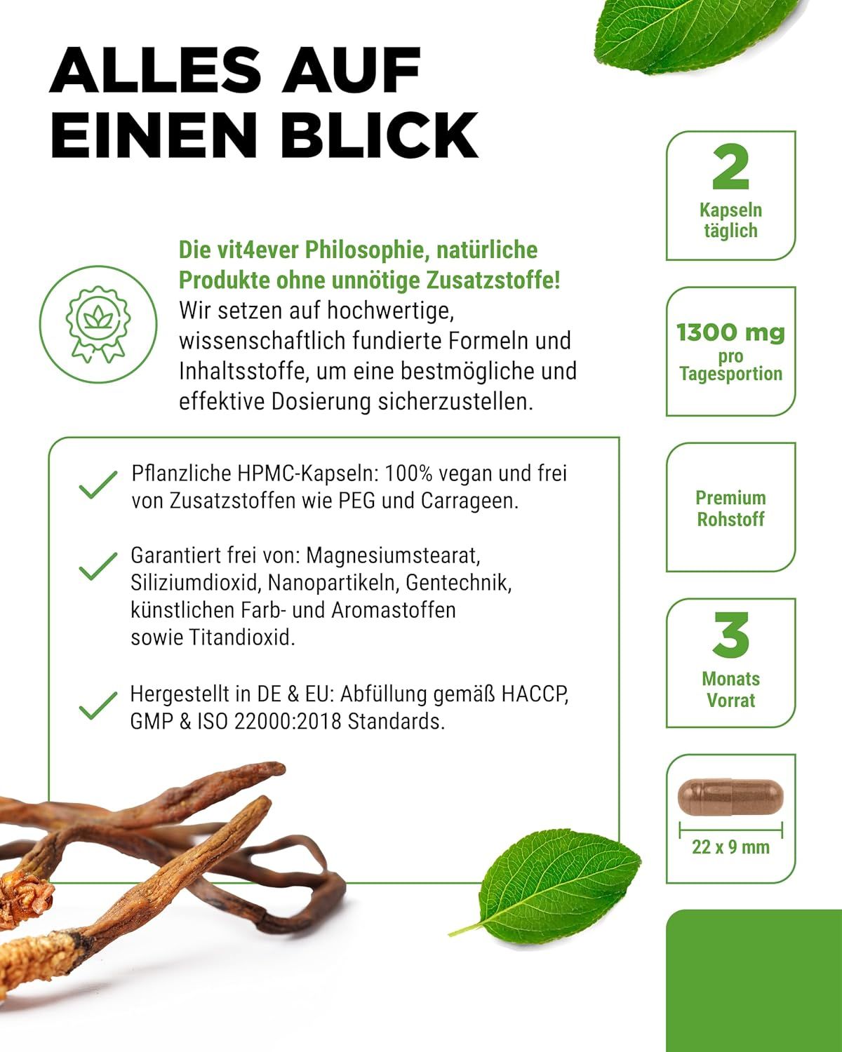 Zusammenfassung der Cordyceps Intenso-Produktmerkmale. Enthält Informationen über Dosierung, Inhaltsstoffe und Zertifizierungen.