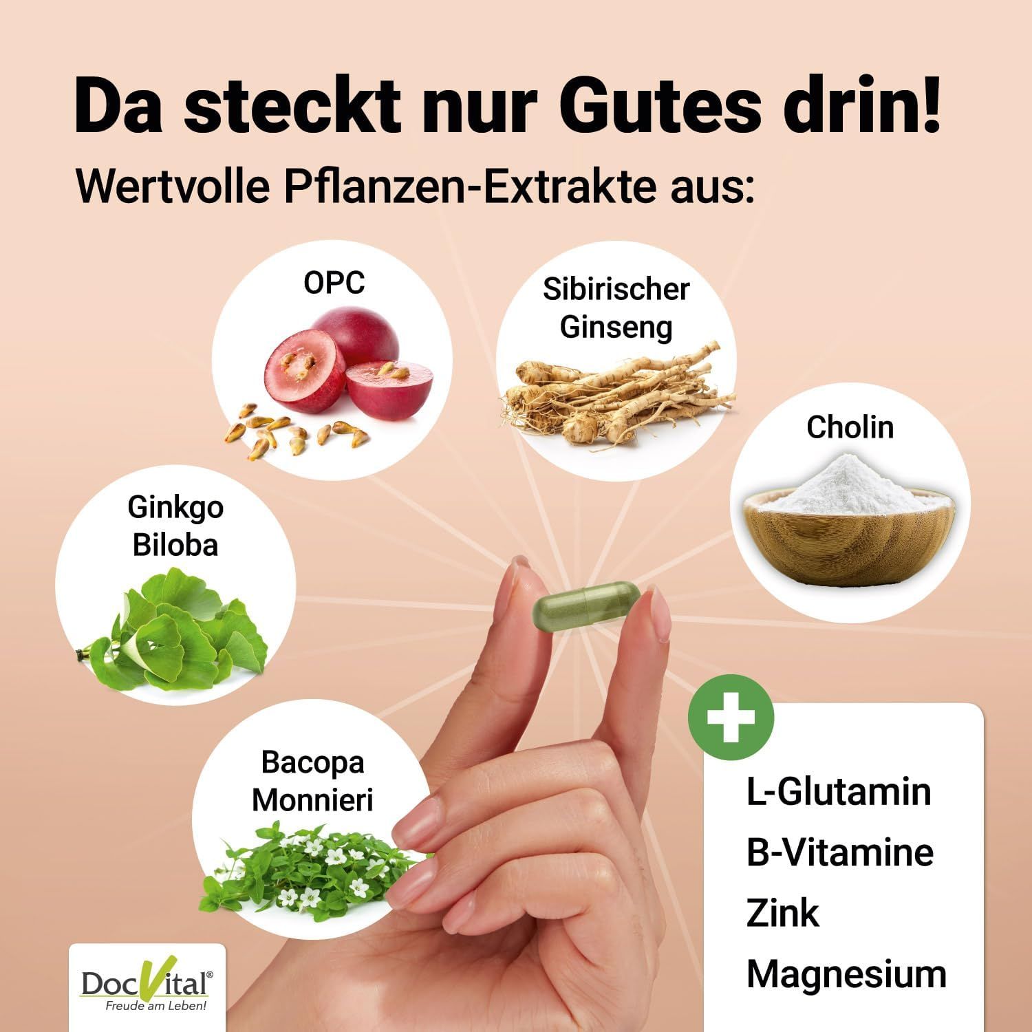 DocVital Gehirn Vital Komplex Kapseln Kapsel