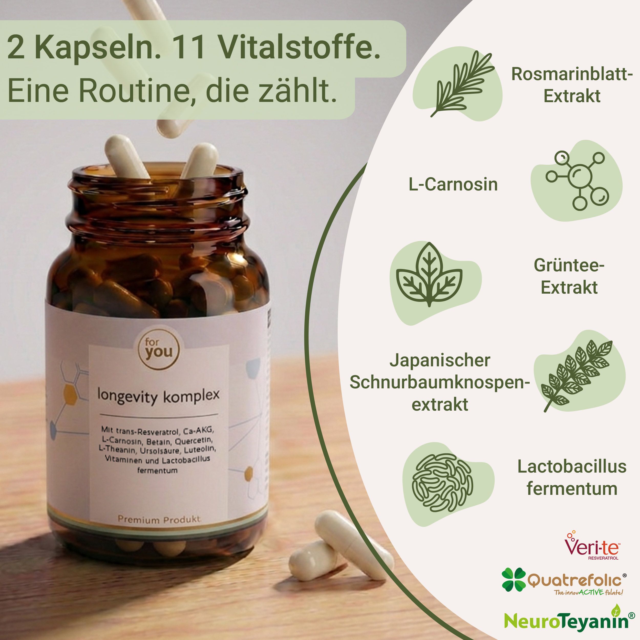 Flasche Longevity Komplex mit Kapseln. Liste von Inhaltsstoffen mit Symbolen daneben.