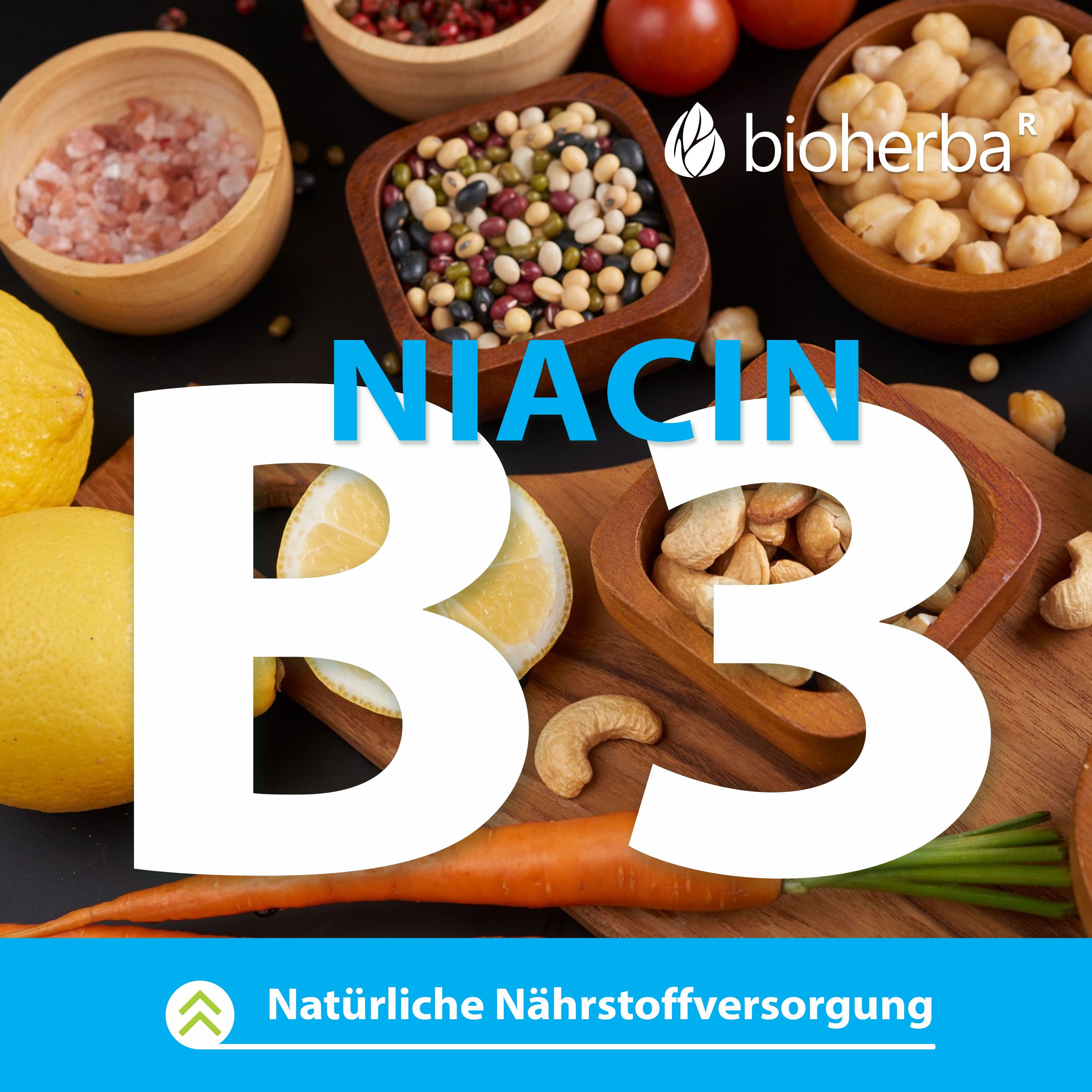 Niacin B3-Schriftzug mit verschiedenen Lebensmitteln: Zitronen, Nüsse, Gemüse, etc.