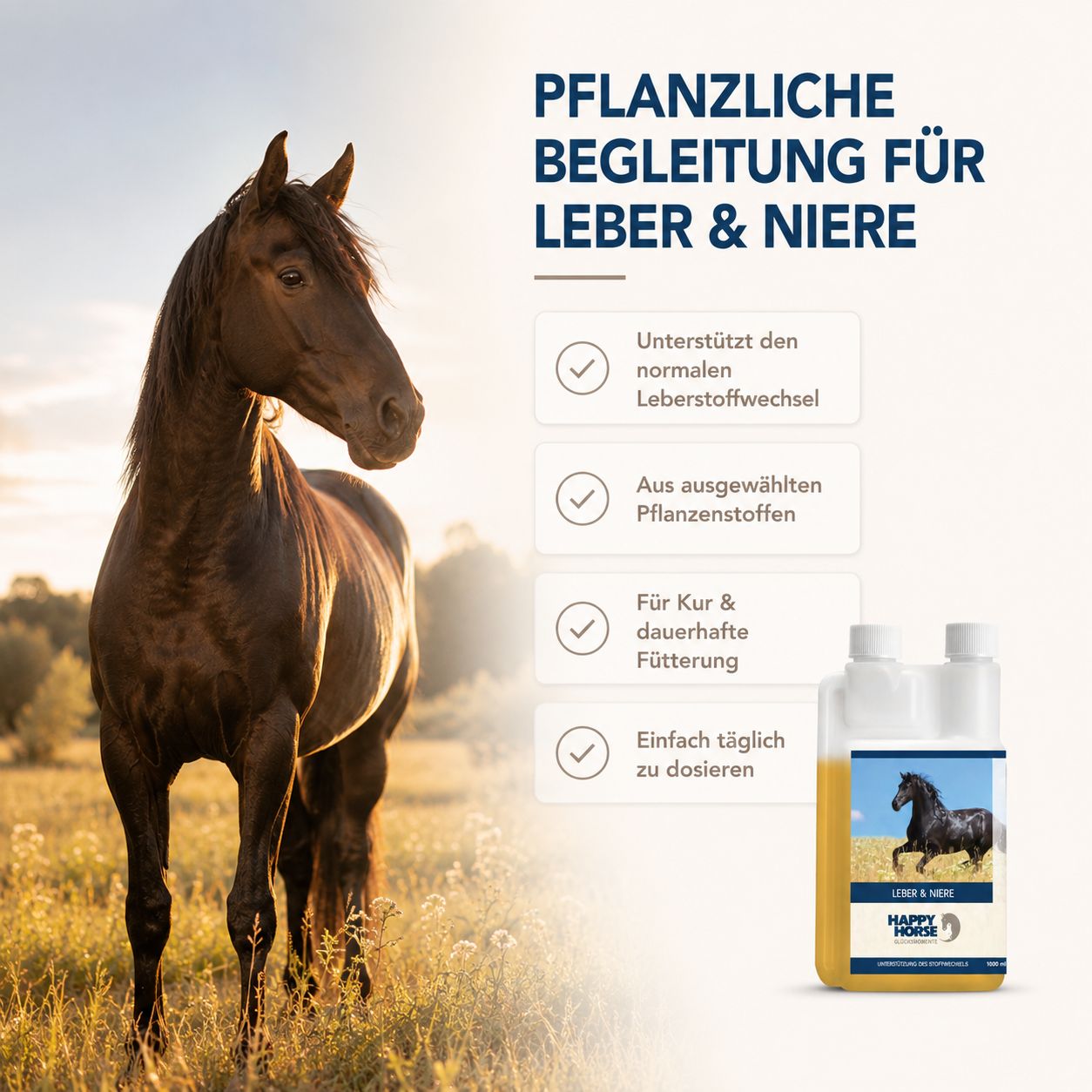Brauner Hengst auf einer Wiese. Daneben eine Flasche mit gelbem Inhalt und Etikett. "Pflanzliche Begleitung für Leber & Niere."