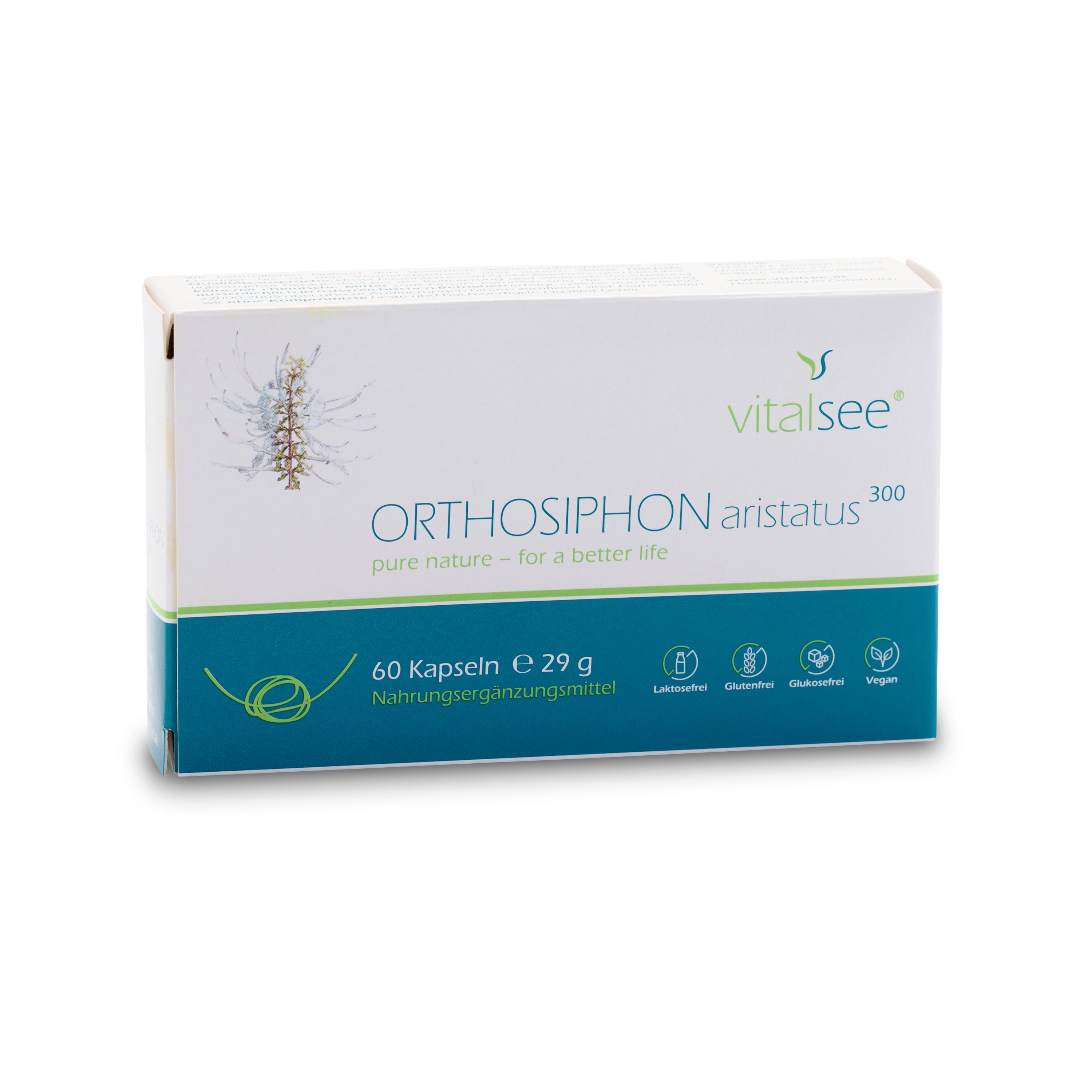 Karton mit Vitalsee ORTHOSIPHON aristatus 300 Extrakt. Enthält 60 Kapseln. Grün-weiße Verpackung mit Logo und Produktbezeichnung.