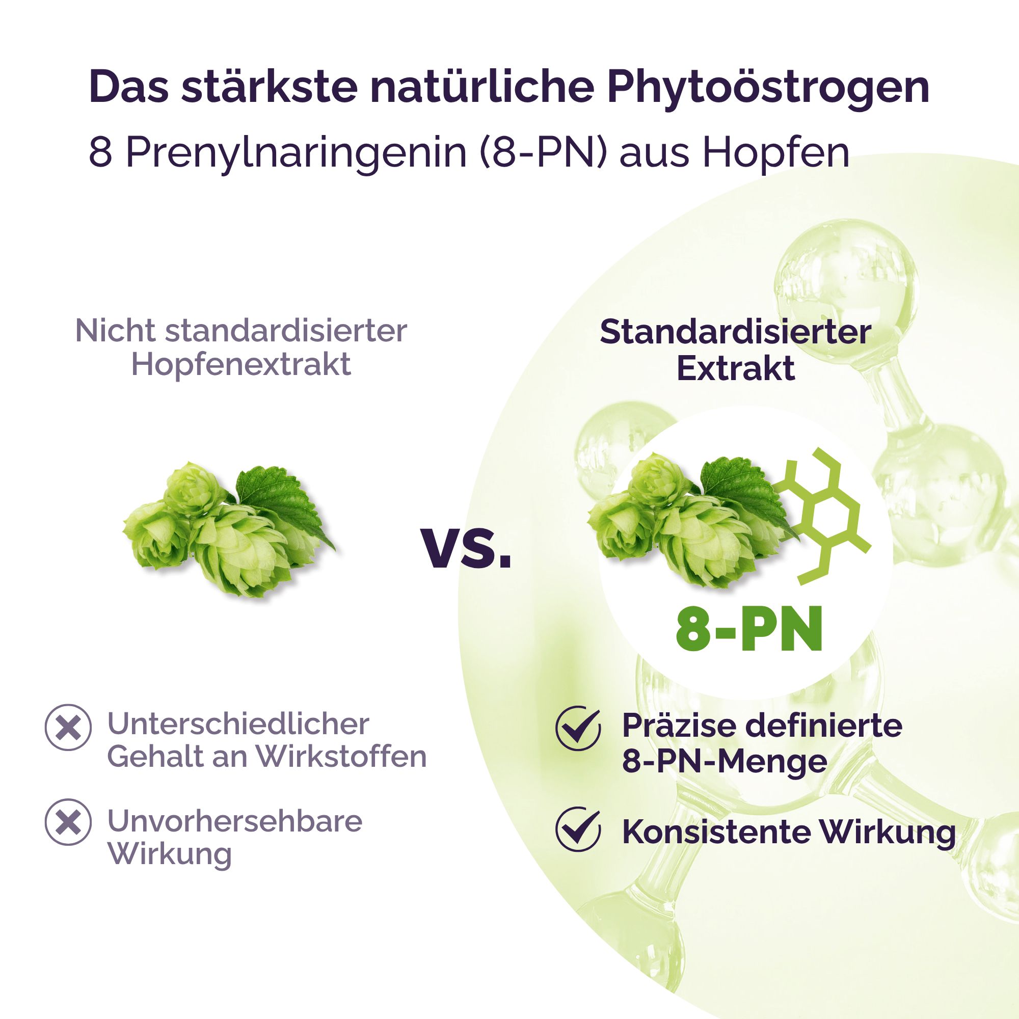 Vergleich: Nicht standardisierter Hopfenextrakt vs. standardisierter Extrakt (8-PN). Illustrationen von Hopfen und Molekülen. Vorteile des standardisierten Extrakts.