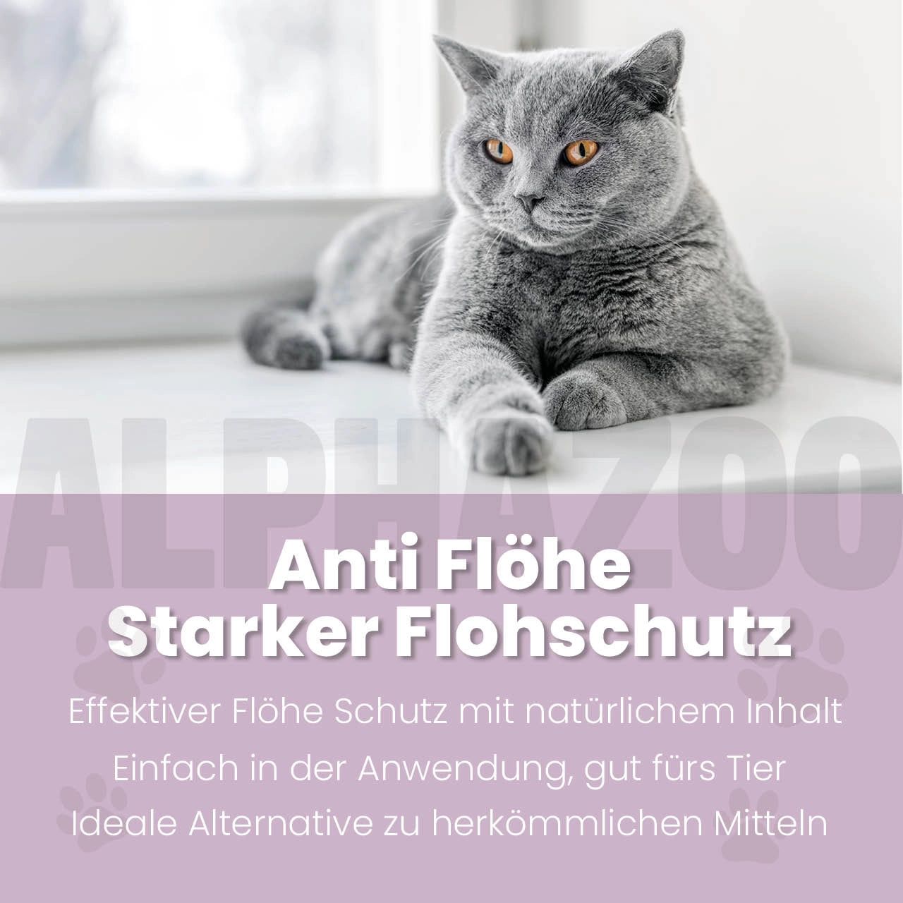 Graue Katze liegt auf Fensterbank. Text: Anti Flöhe, Starker Flohschutz. Effektiv, natürlich.