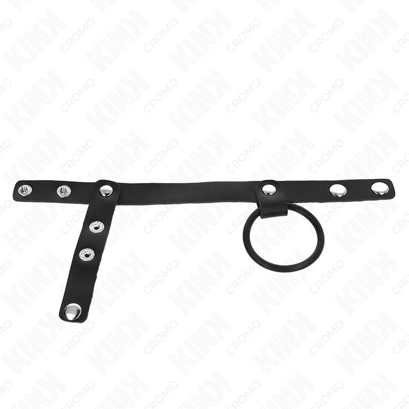 Schwarzes Lederband mit Metallösen und Ring. Band mit mehreren Ösen und einem Ring.