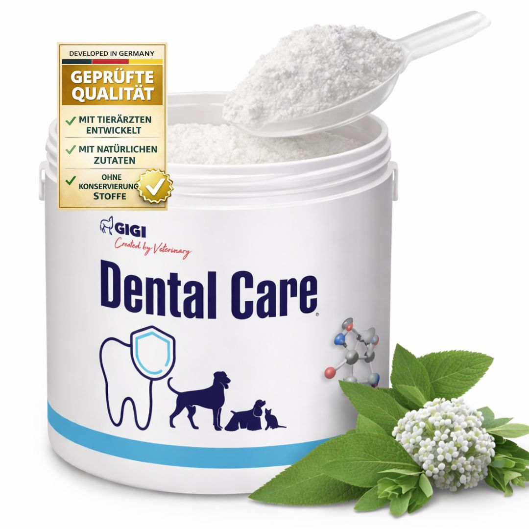 Weiße Dose Dental Care mit Messlöffel. Text: Geprüfte Qualität. Marke: GIGI.