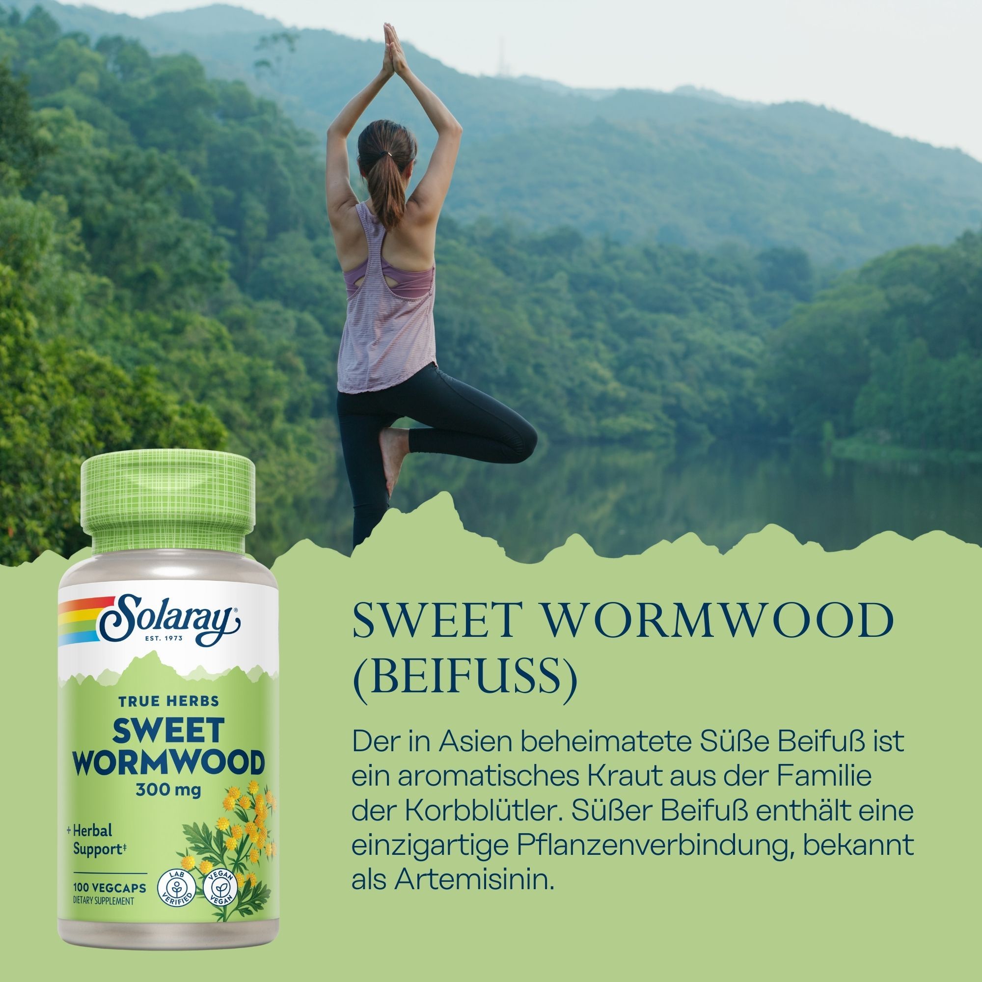 Solaray Sweet Wormwood (Beifuß) 300 mg. Kapsel-Dose mit grünem Deckel. Frau macht Yoga. Hintergrund: Berge und See.