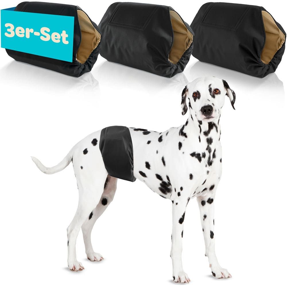 Dalmatiner mit Windel, 3 Windeln daneben. Text: 3er-Set.