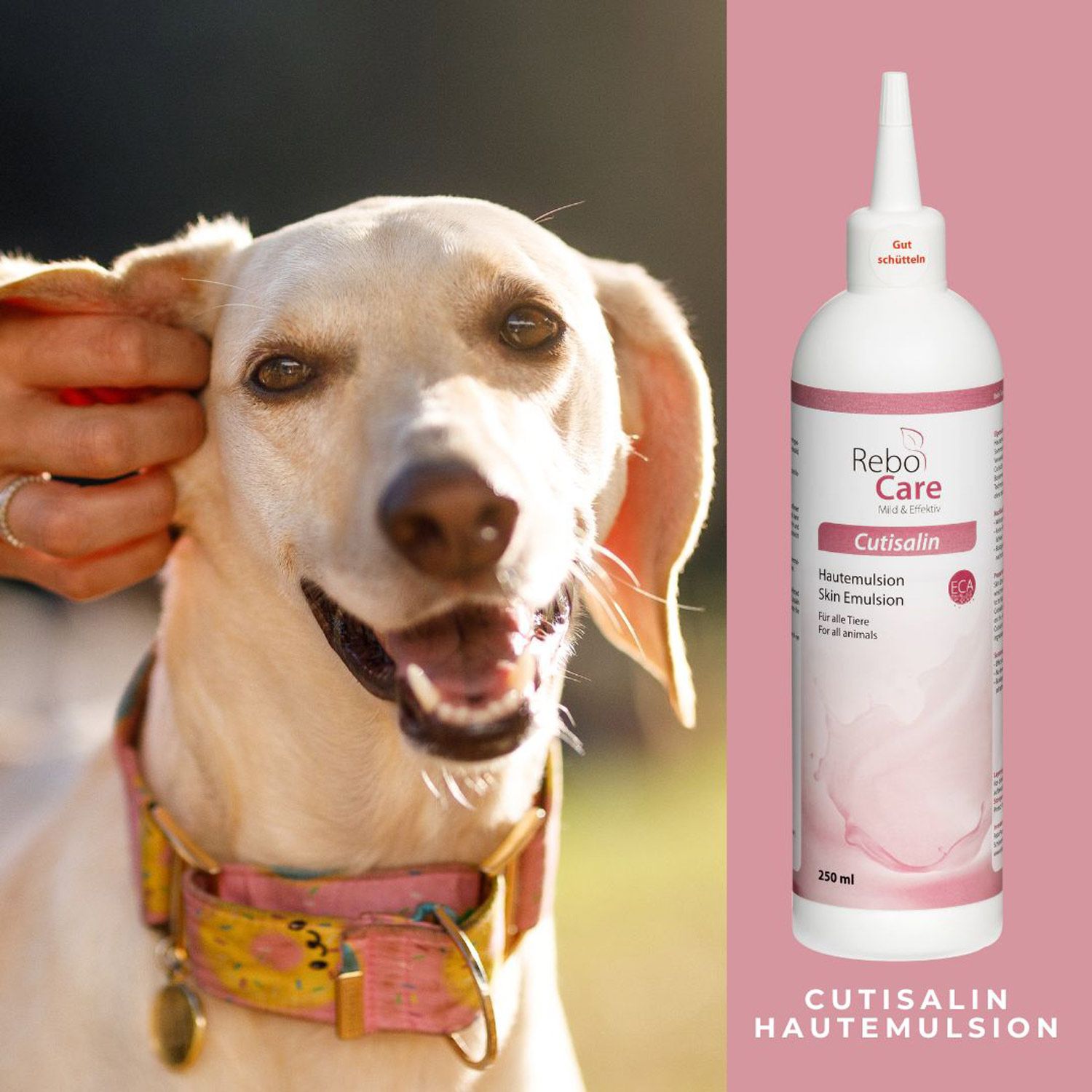 Cutisalin