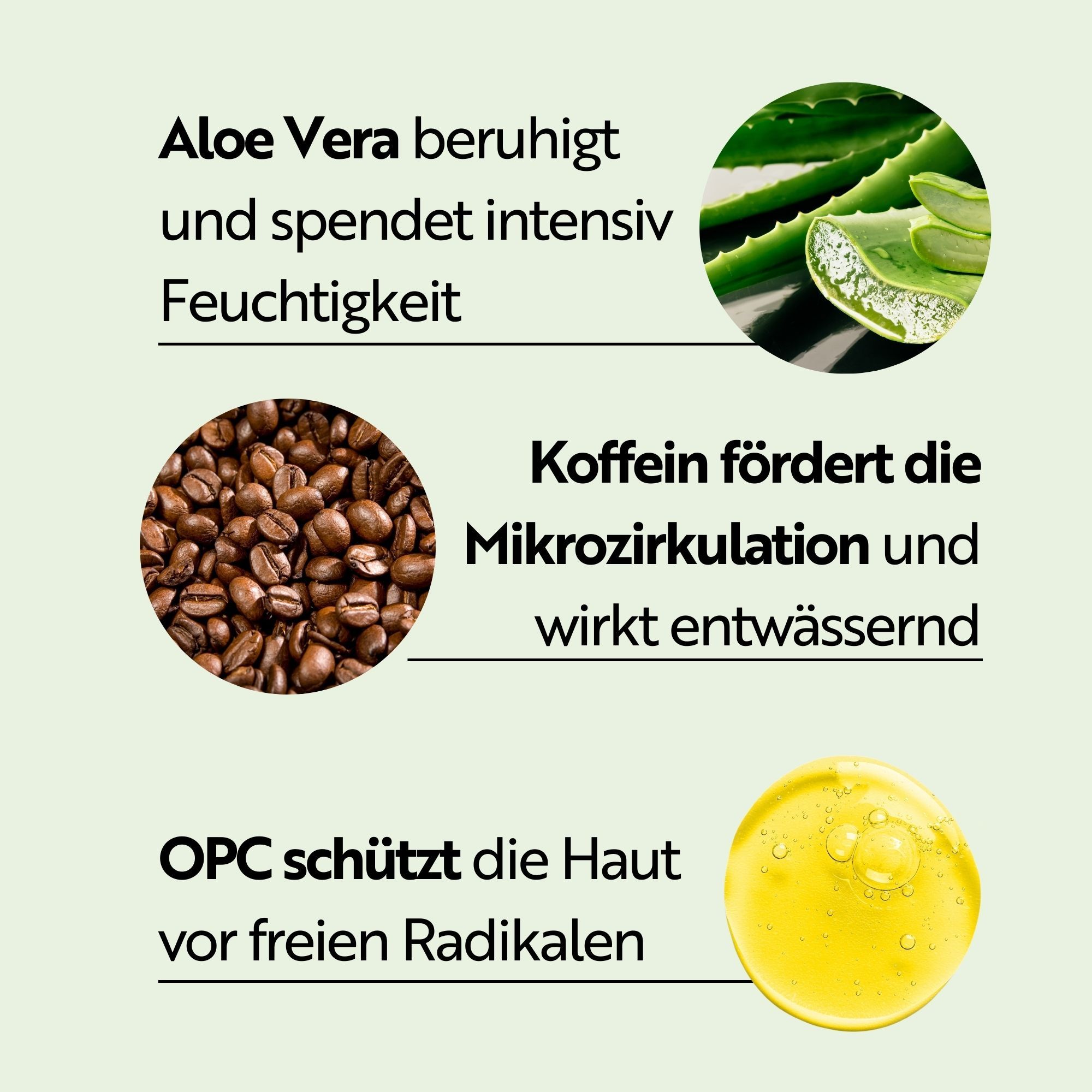 Abbildungen von Aloe Vera, Kaffeebohnen und Öl. Text: Aloe Vera beruhigt, Koffein fördert die Mikrozirkulation, OPC schützt vor freien Radikalen.