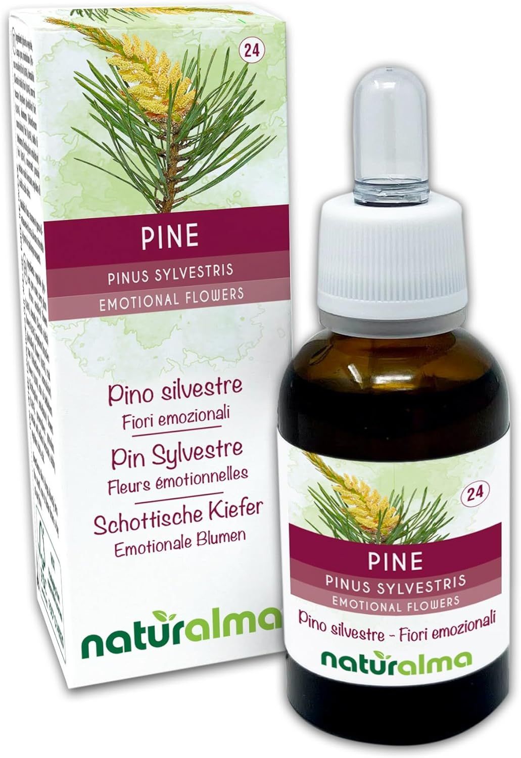 Naturalma Schottische Kiefer Pinus sylvestris Tropfen