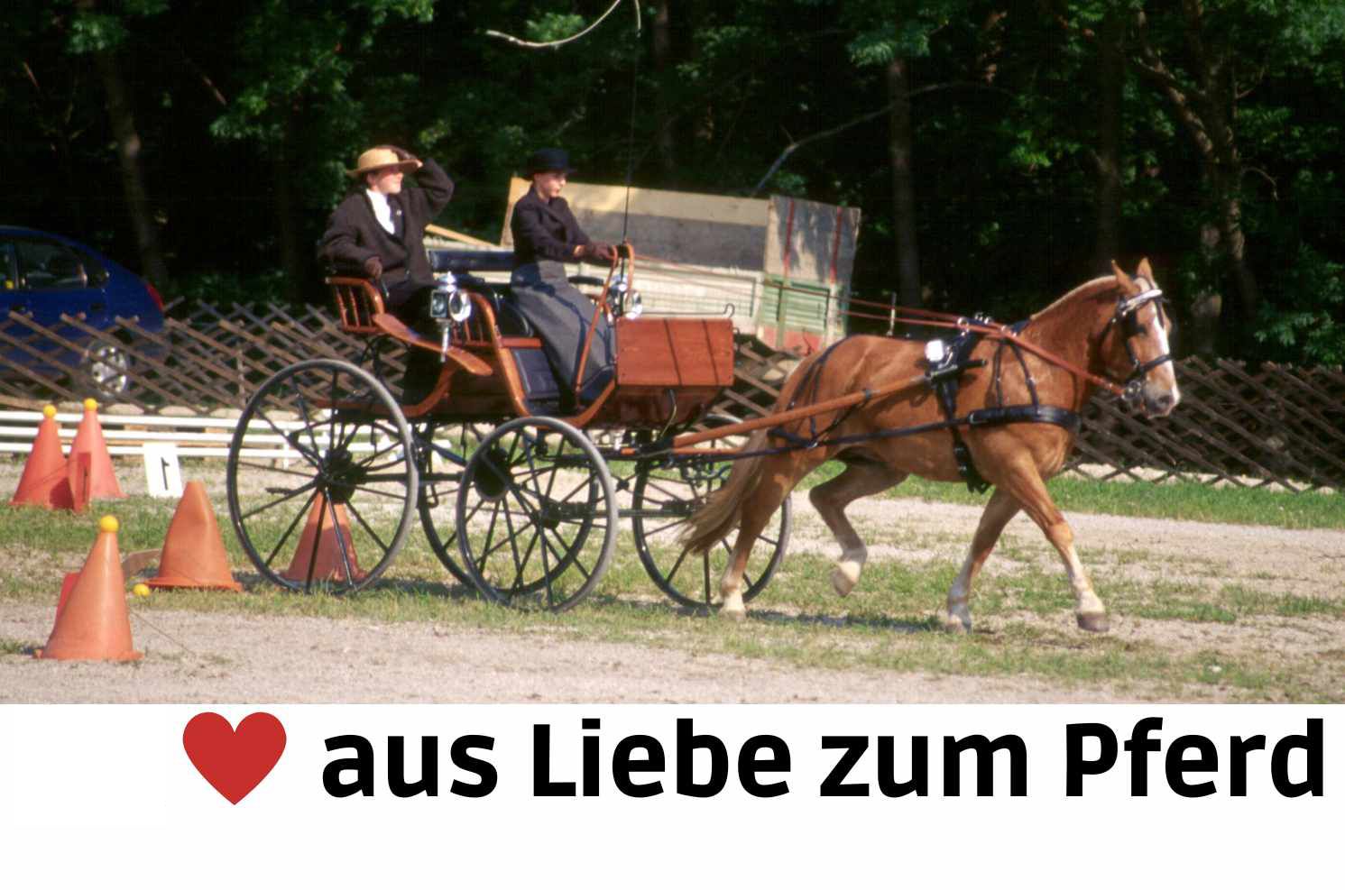 Zwei Personen in einer Kutsche, gezogen von einem Pferd. Text: aus Liebe zum Pferd.
