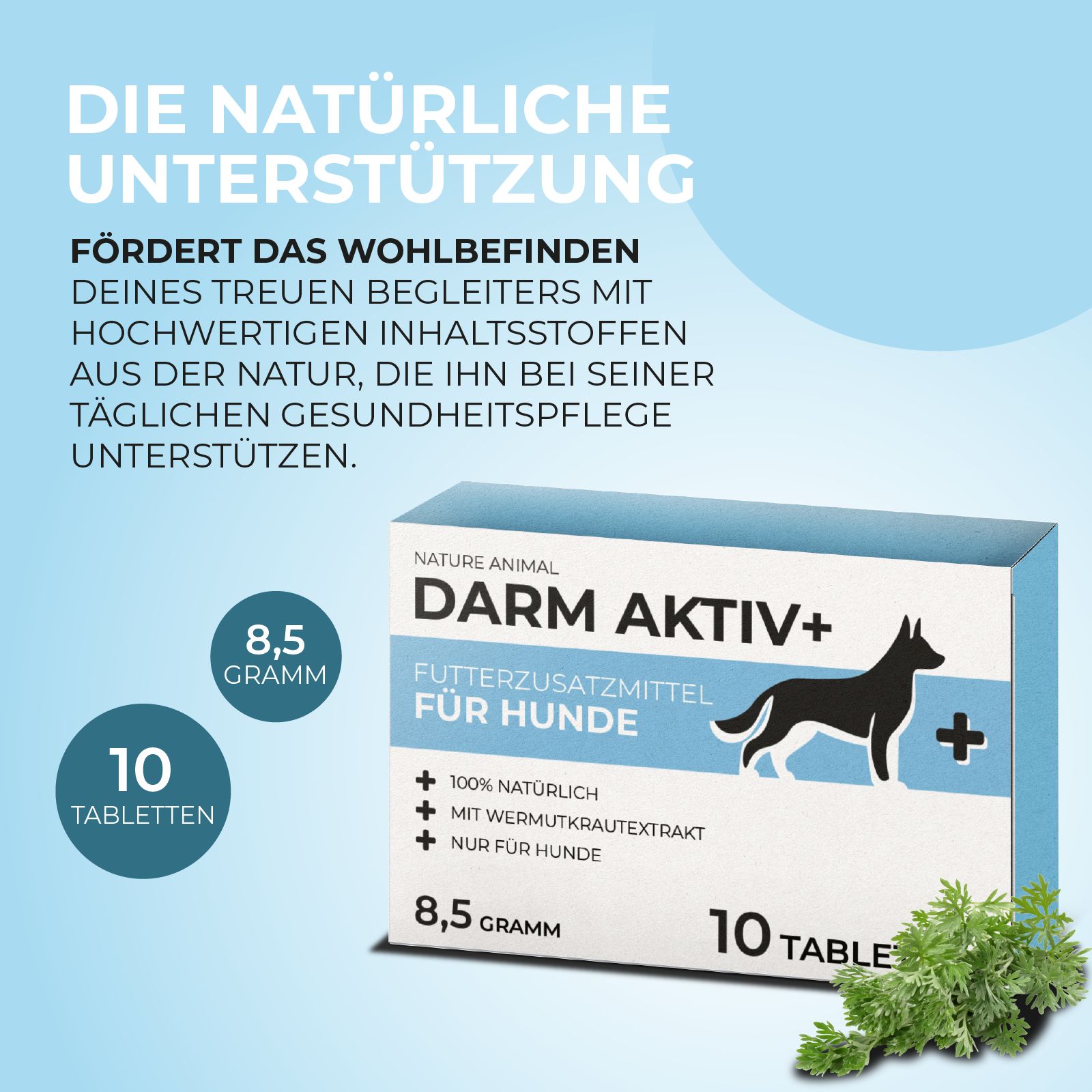 Produktverpackung mit Text: Darm Aktiv+ für Hunde, 10 Tabletten, 8,5 Gramm. Text: Die natürliche Unterstützung. Kräuterzweig.