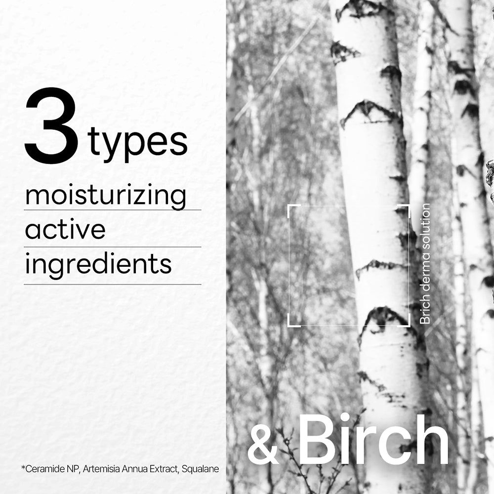 Text mit "3 types", "moisturizing active ingredients" und "& Birch". Hintergrund: Birkenstämme.