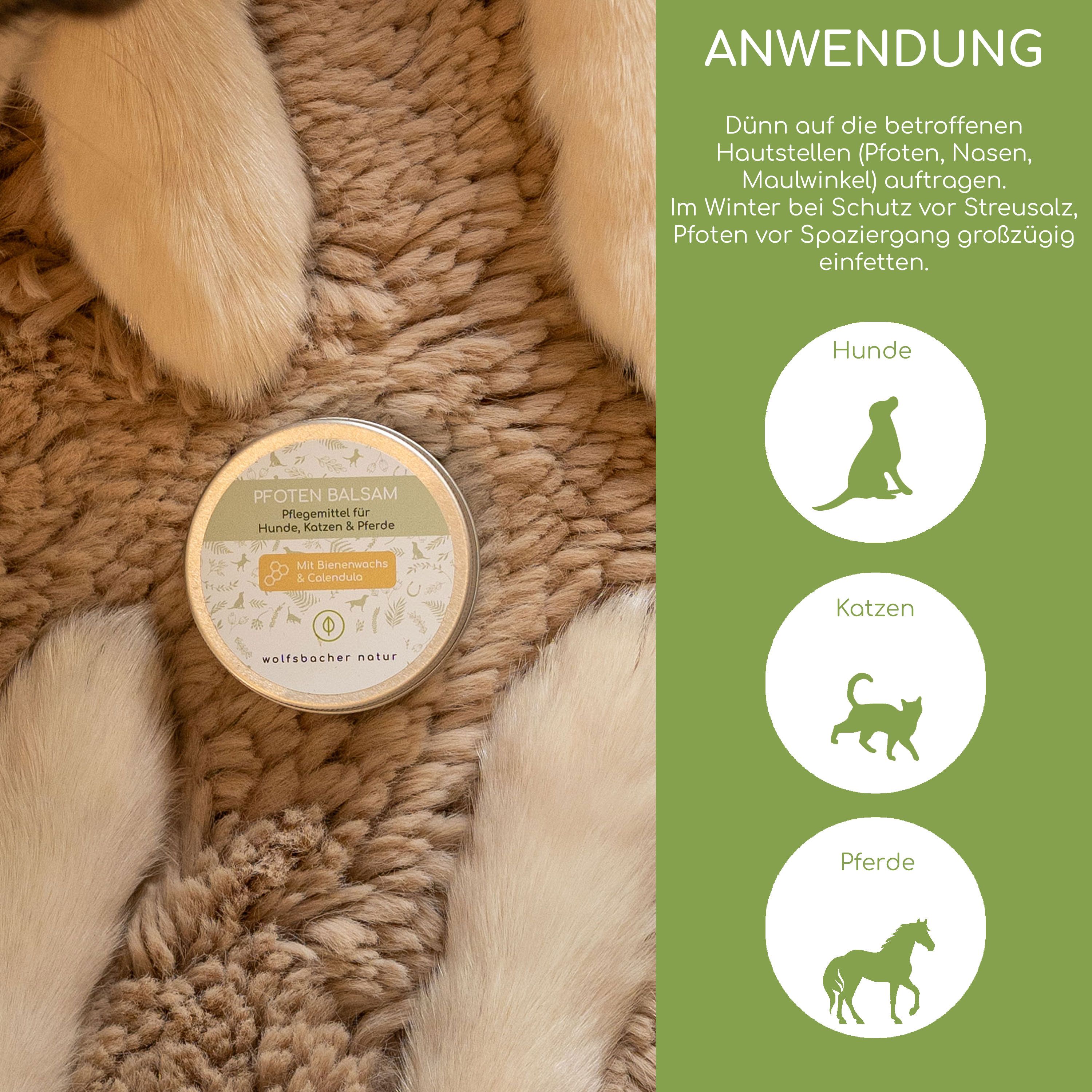 Dose Pfotenbalsam neben Pfoten und Text: Anwendung. Illustrationen: Hund, Katze, Pferd. Aufschrift: Pfoten Balsam, Pflege für Hunde, Katzen & Pferde.
