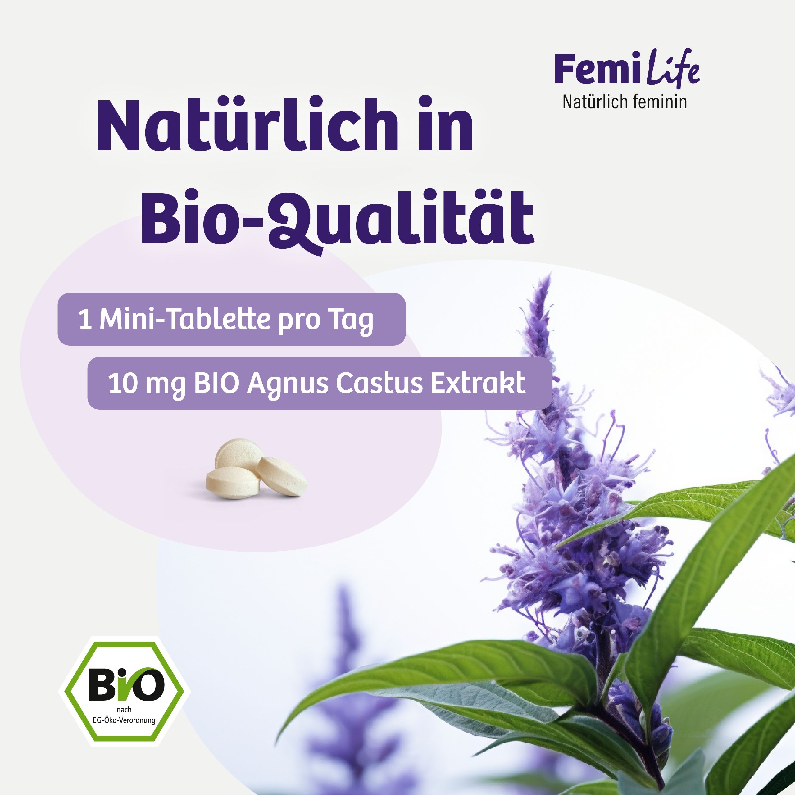 Tabletten, 10 mg BIO Agnus Castus Extrakt, 1 Mini-Tablette pro Tag, BIO-Qualität, FemiLife.