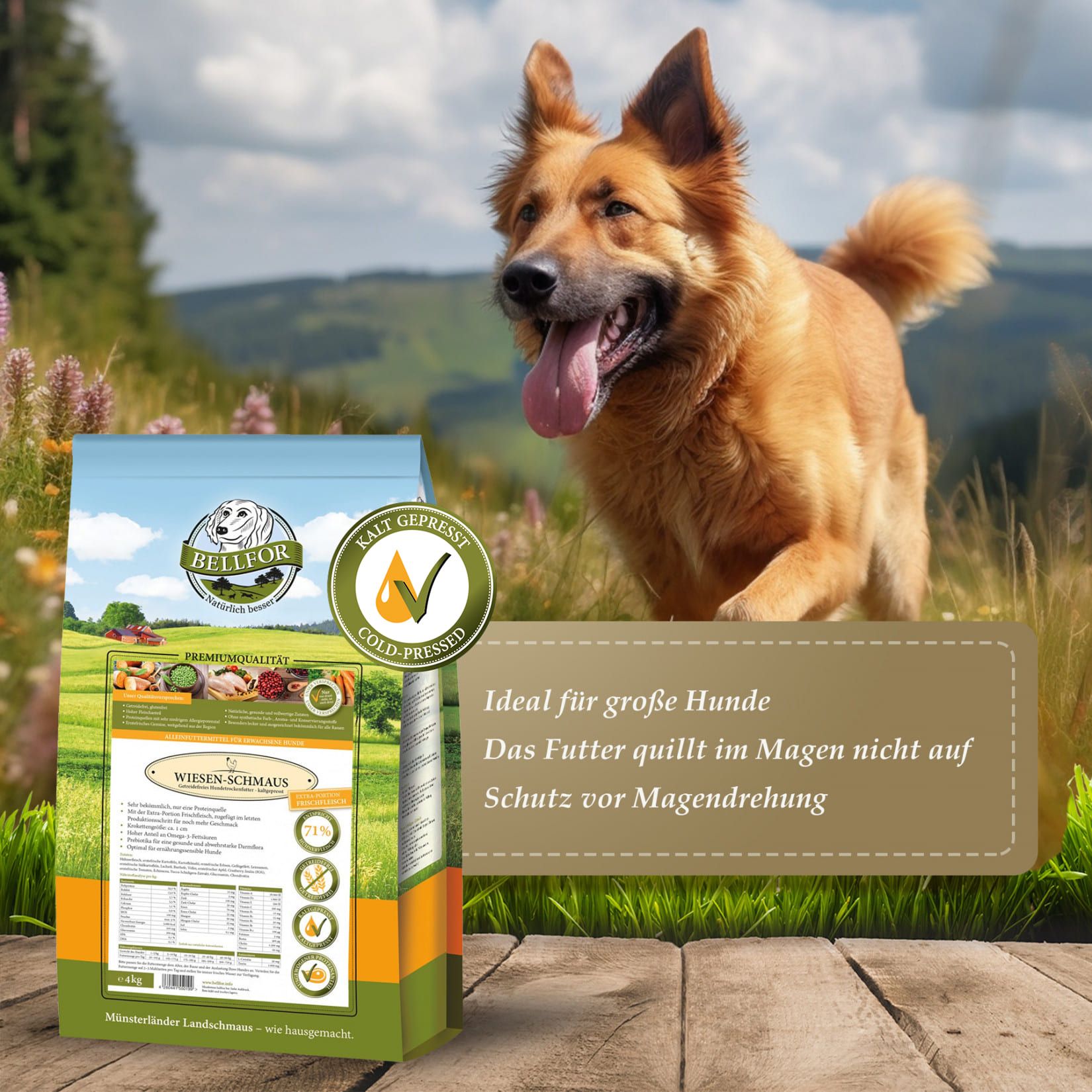 Hund neben Packung. Text: Ideal für große Hunde. Futter quillt nicht auf. Schutz vor Magendrehung. Logo: Kaltgepresst.