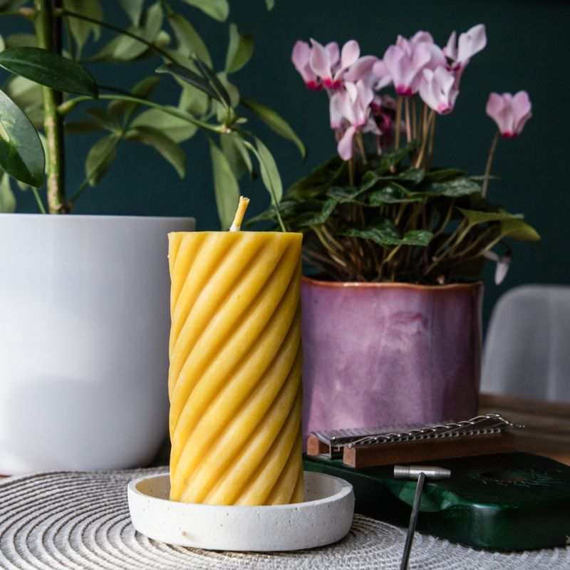 Gelbe Wachskerze mit spiralförmigem Muster, in einer weißen Schale. Im Hintergrund Pflanzen und eine Blume in einem Topf.