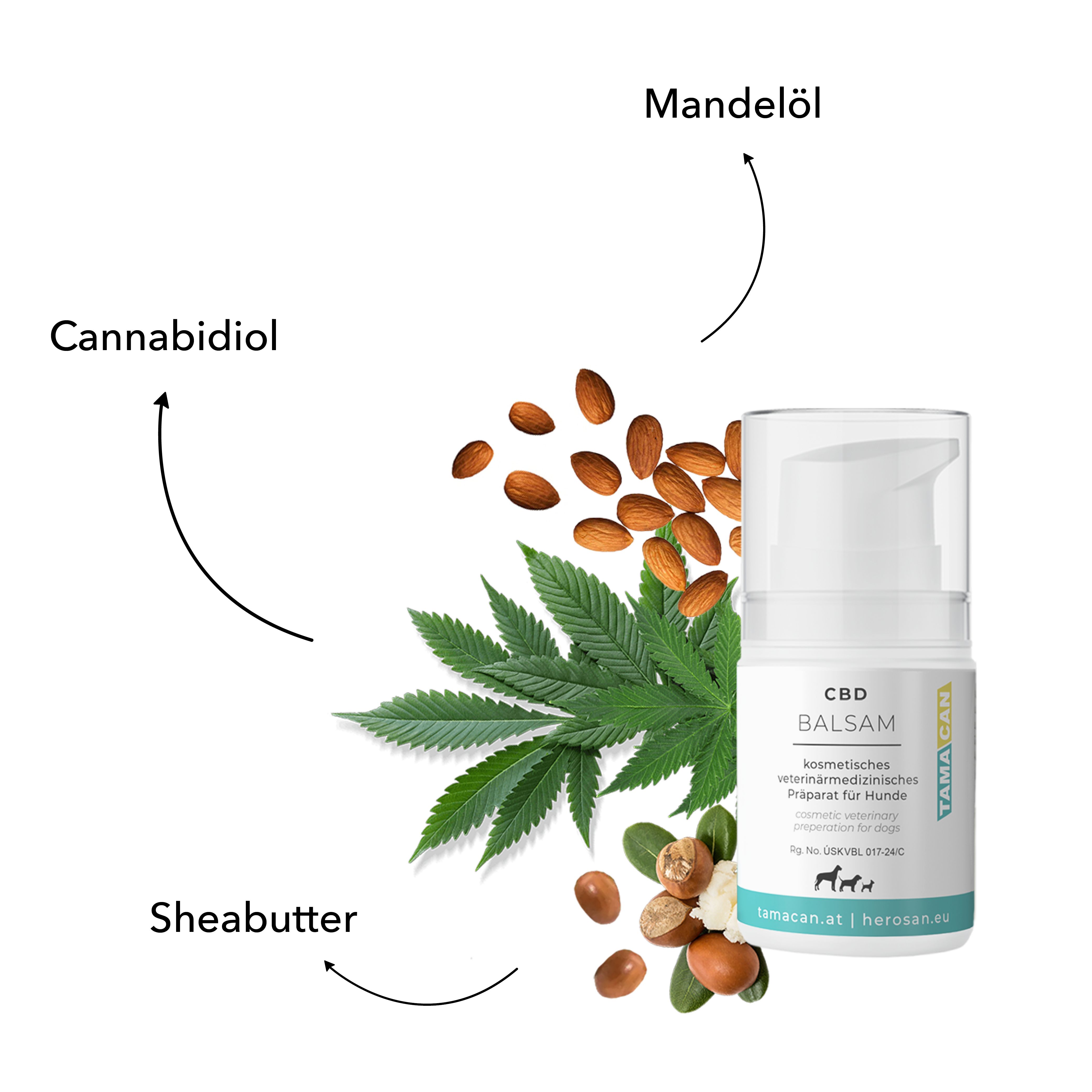 CBD Balsam für Hunde. Produkt mit Illustrationen von Inhaltsstoffen: Cannabidiol, Sheabutter, Mandeln.