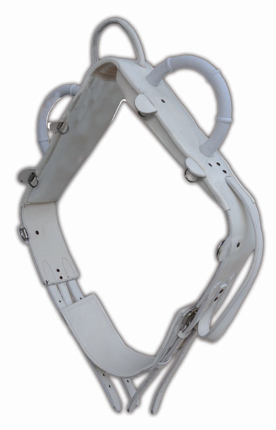 Weißer Voltigiergurt mit Griffen und Ringen. Ansicht von oben.
