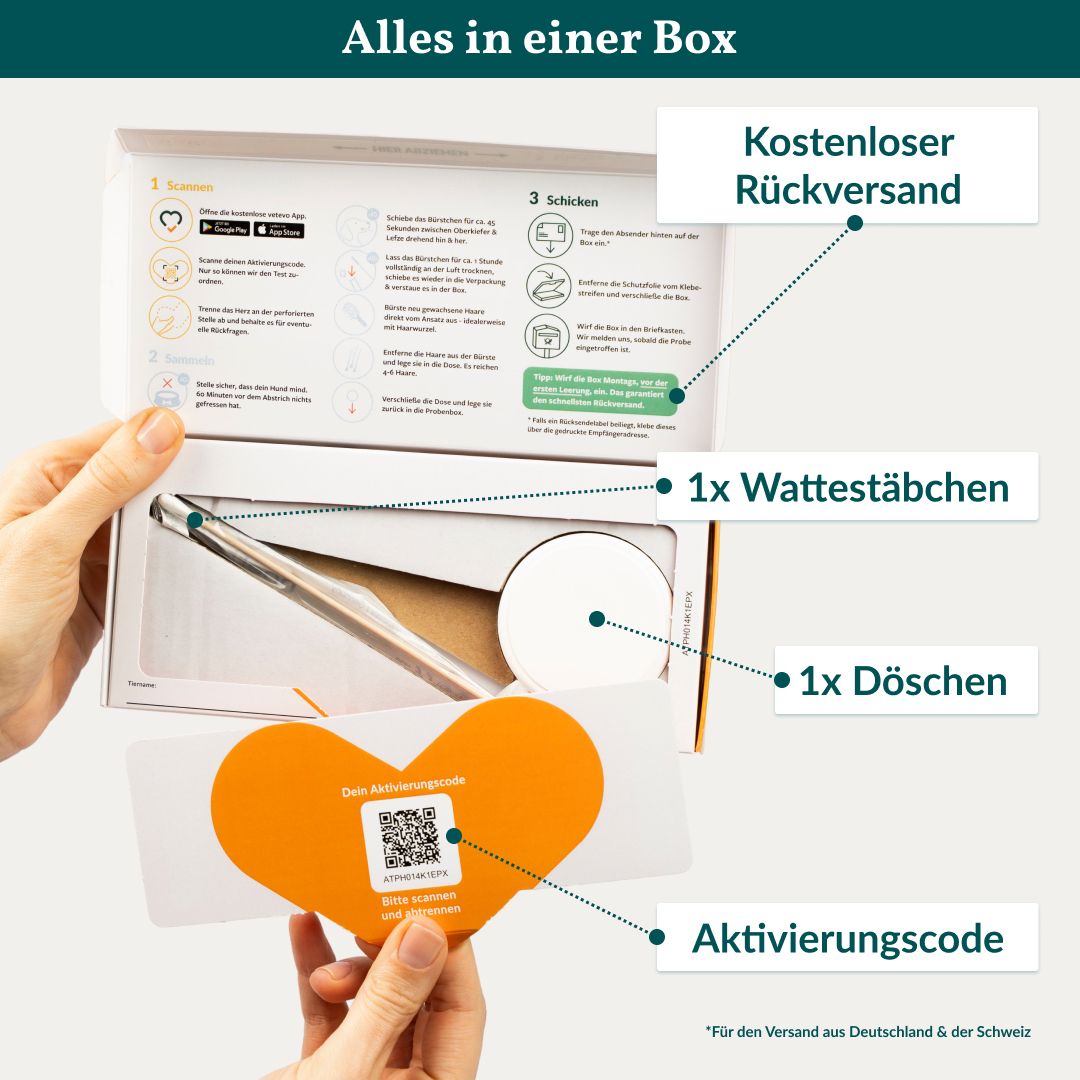 Geöffnete Box mit Inhalt. Wattestäbchen, Döschen, Aktivierungscode. Kostenloser Rückversand.